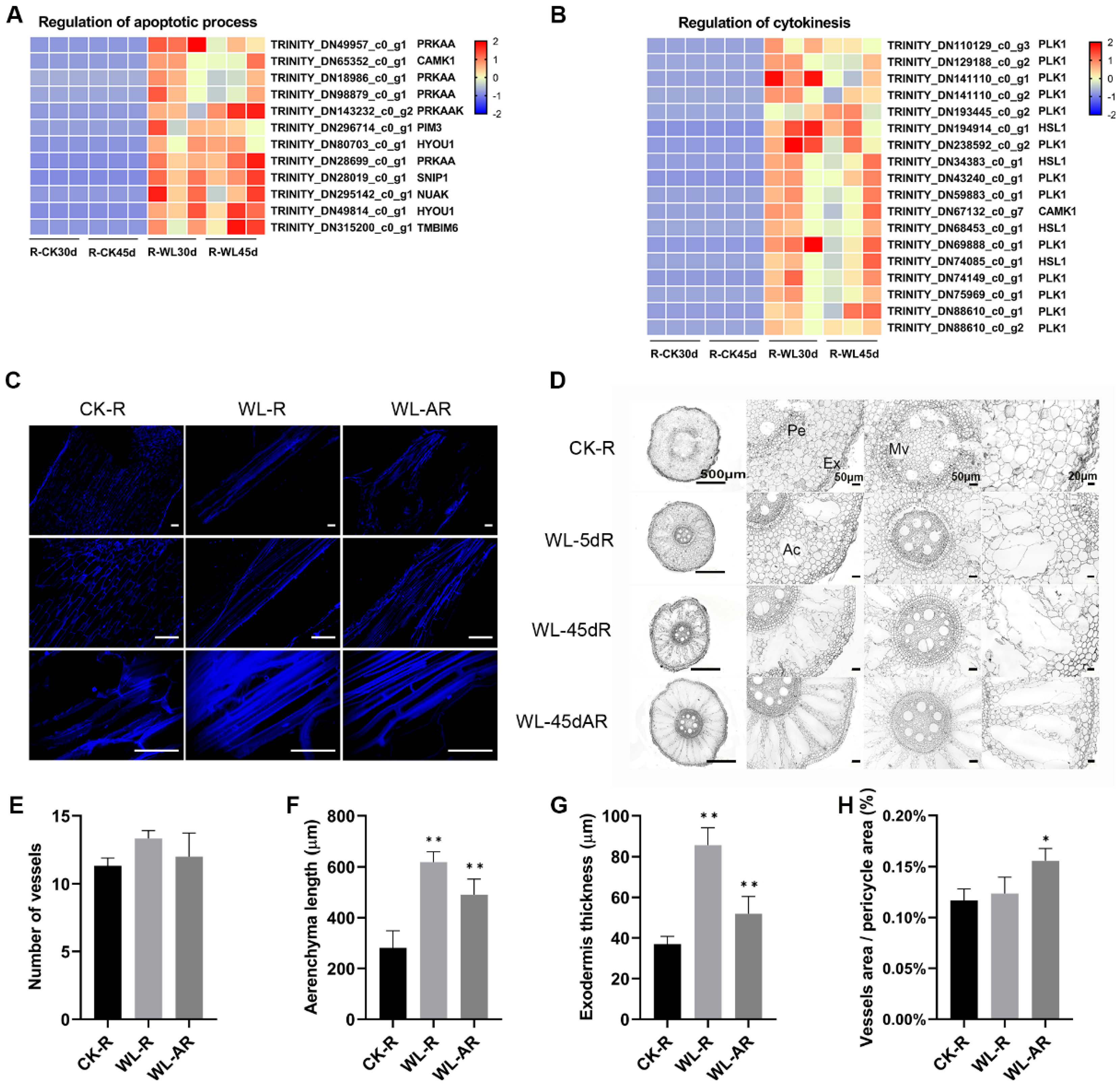 Horticulturae 10 00717 g005