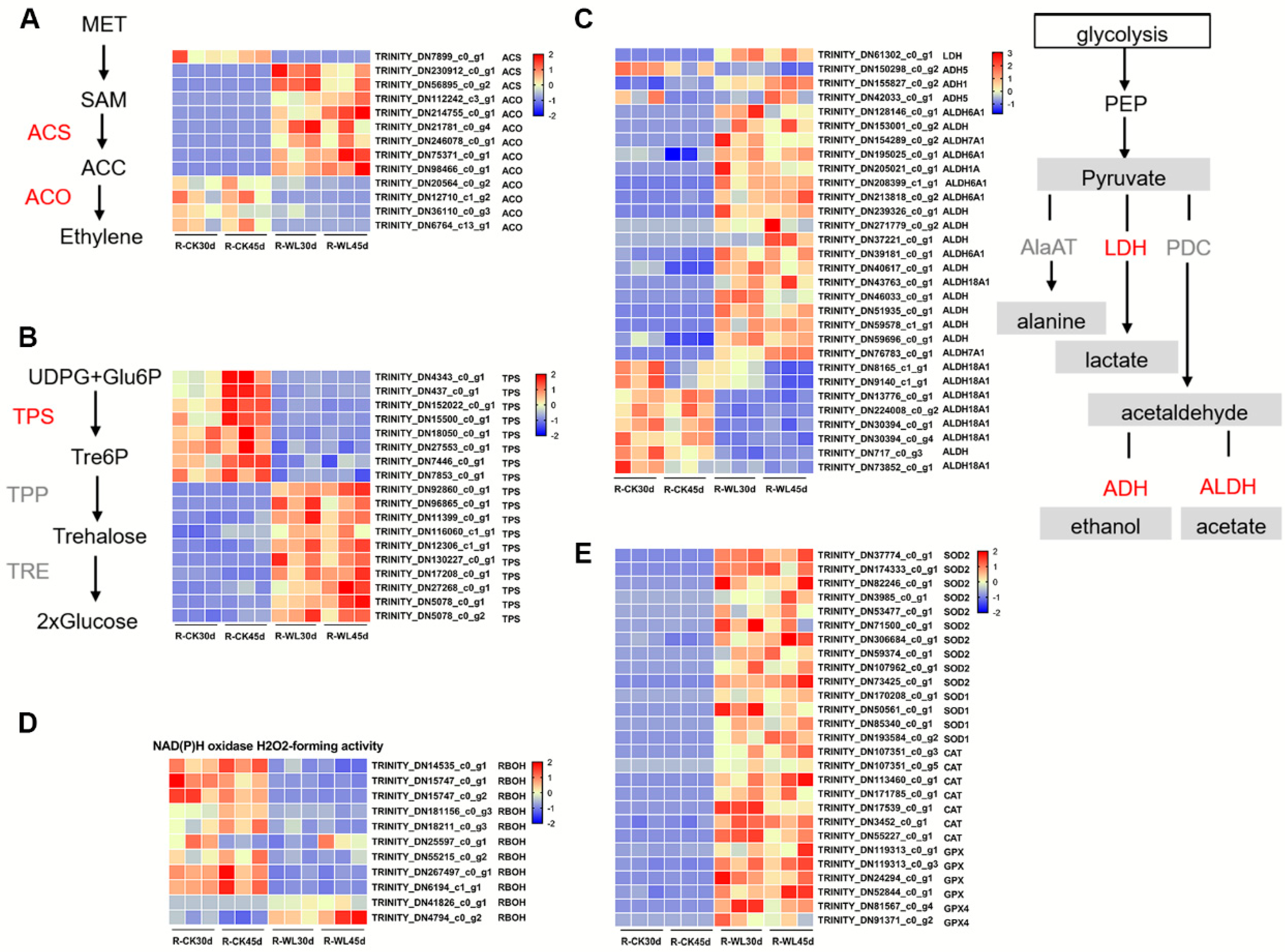 Horticulturae 10 00717 g006