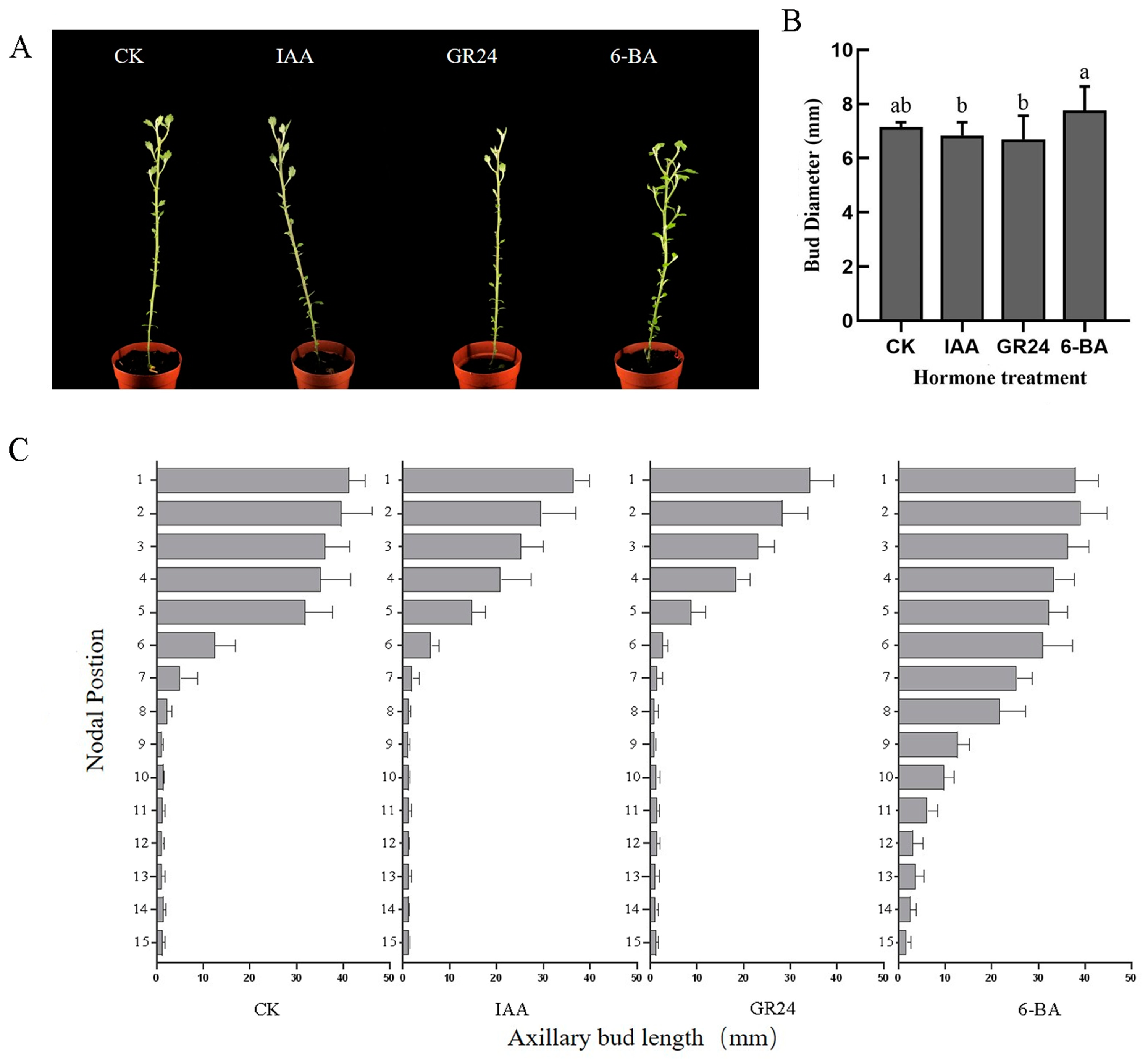 Horticulturae 10 00718 g001