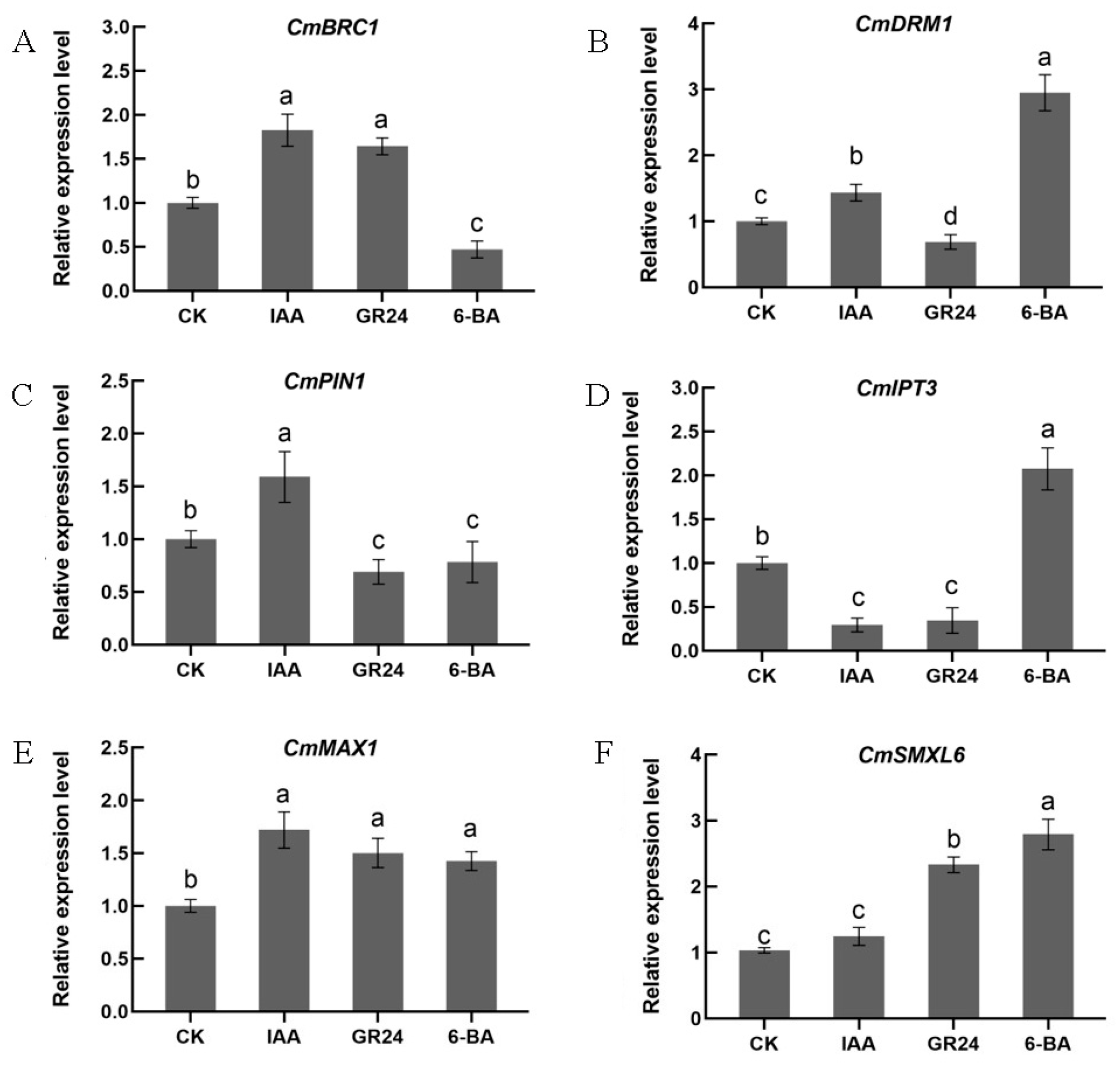 Horticulturae 10 00718 g002