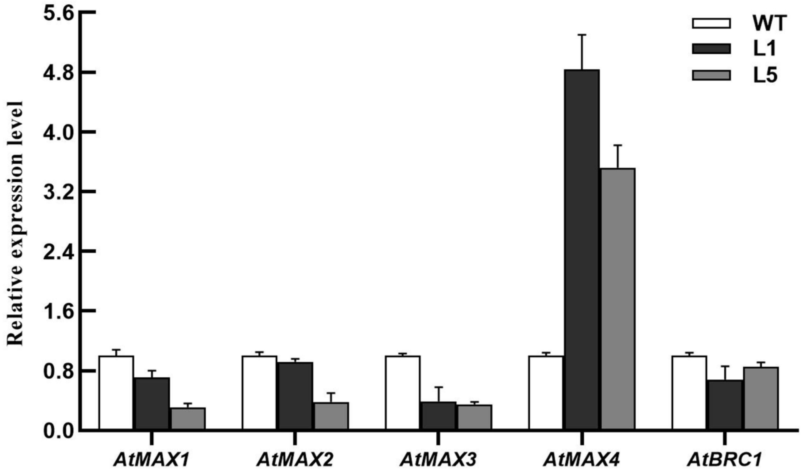 Horticulturae 10 00718 g007