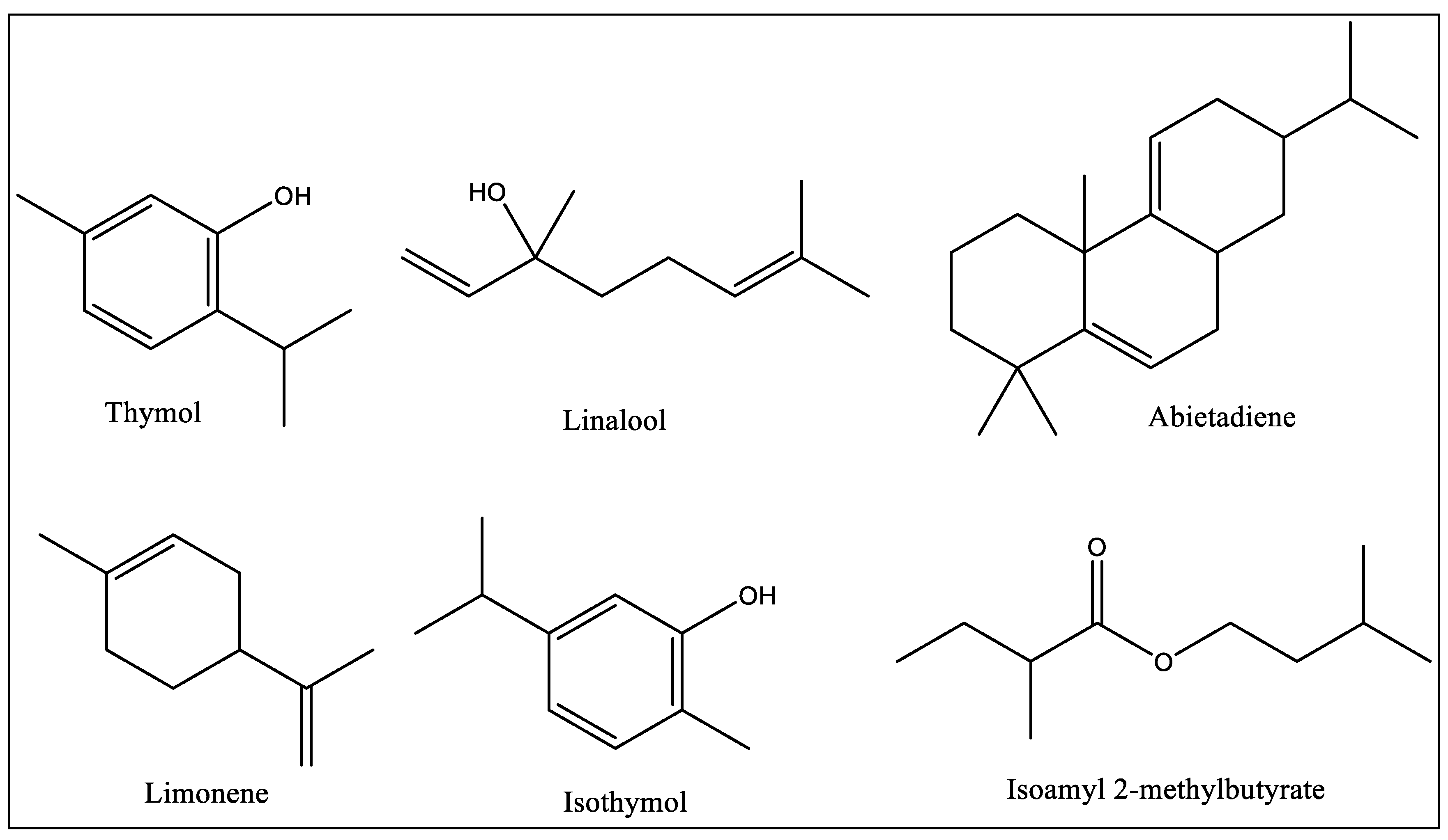 Horticulturae 10 00722 g001