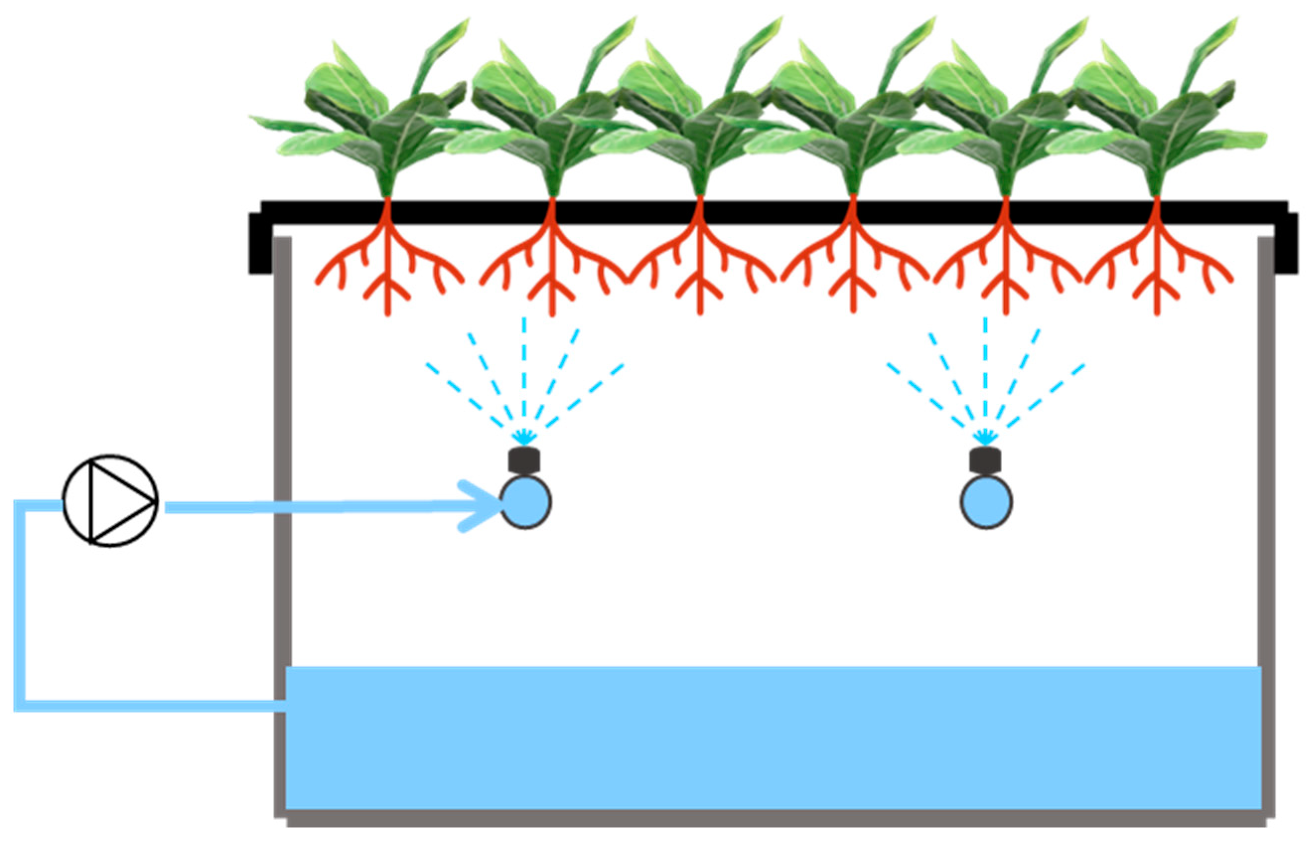 Horticulturae 10 00726 g001