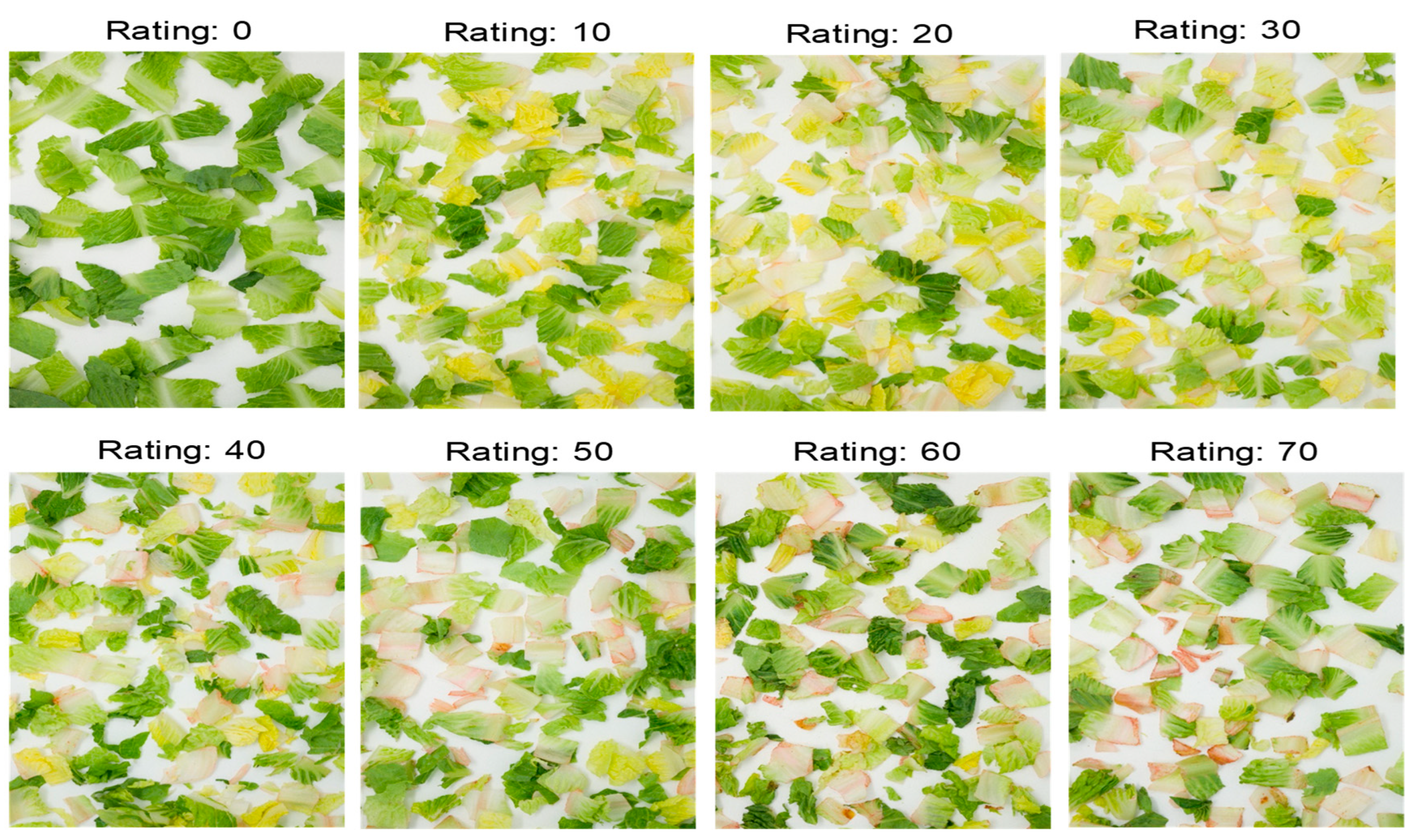 Horticulturae 10 00731 g002