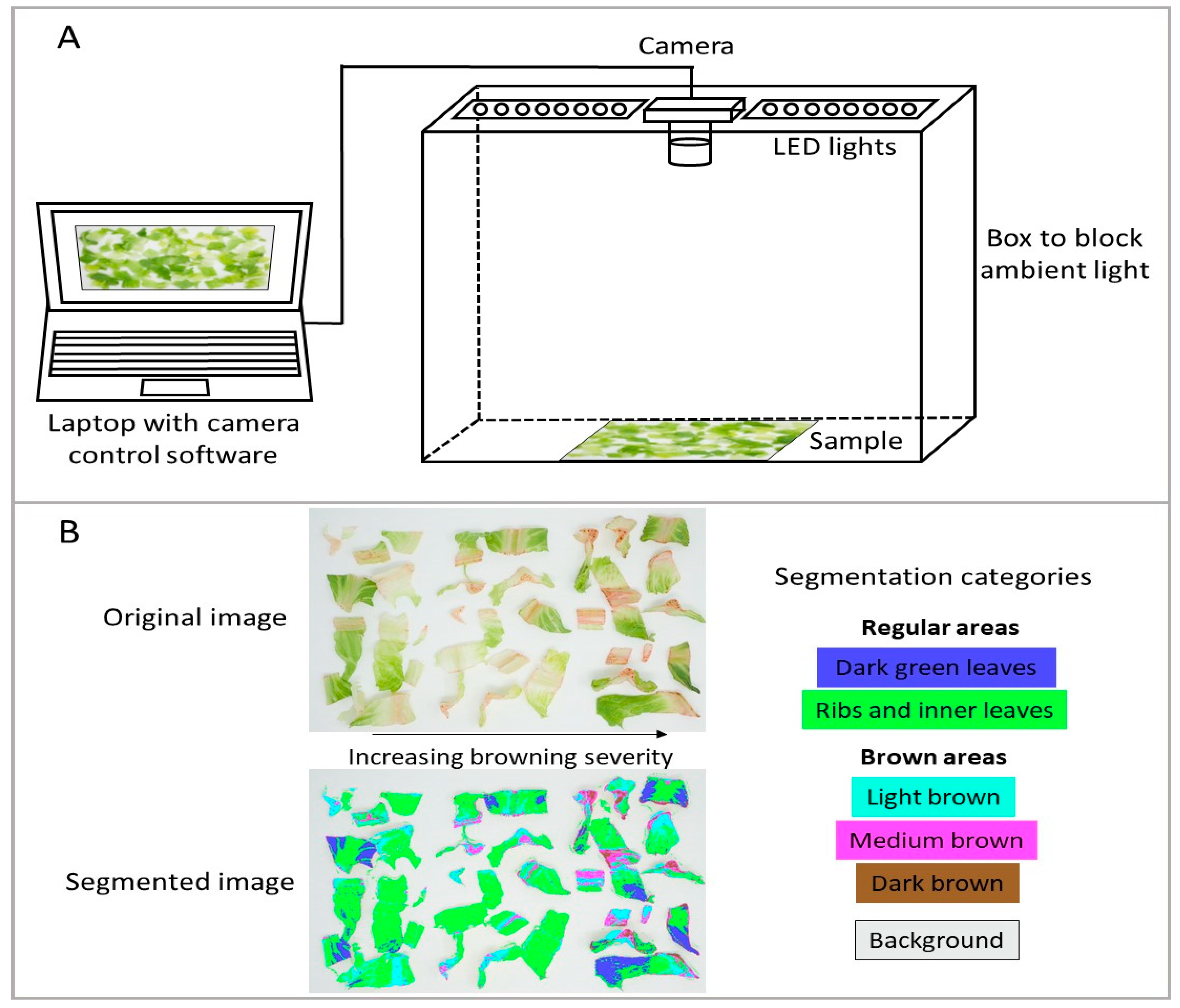 Horticulturae 10 00731 g003