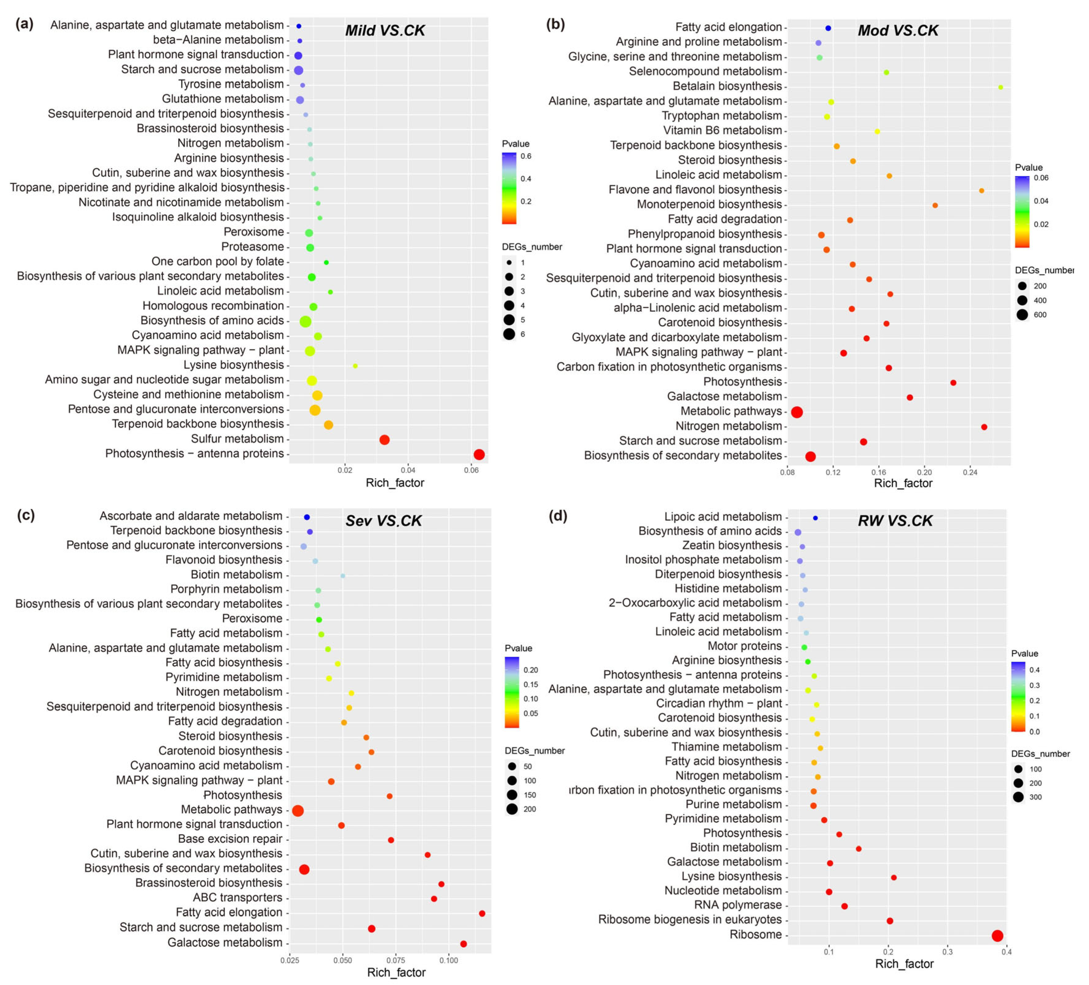 Horticulturae 10 00734 g004