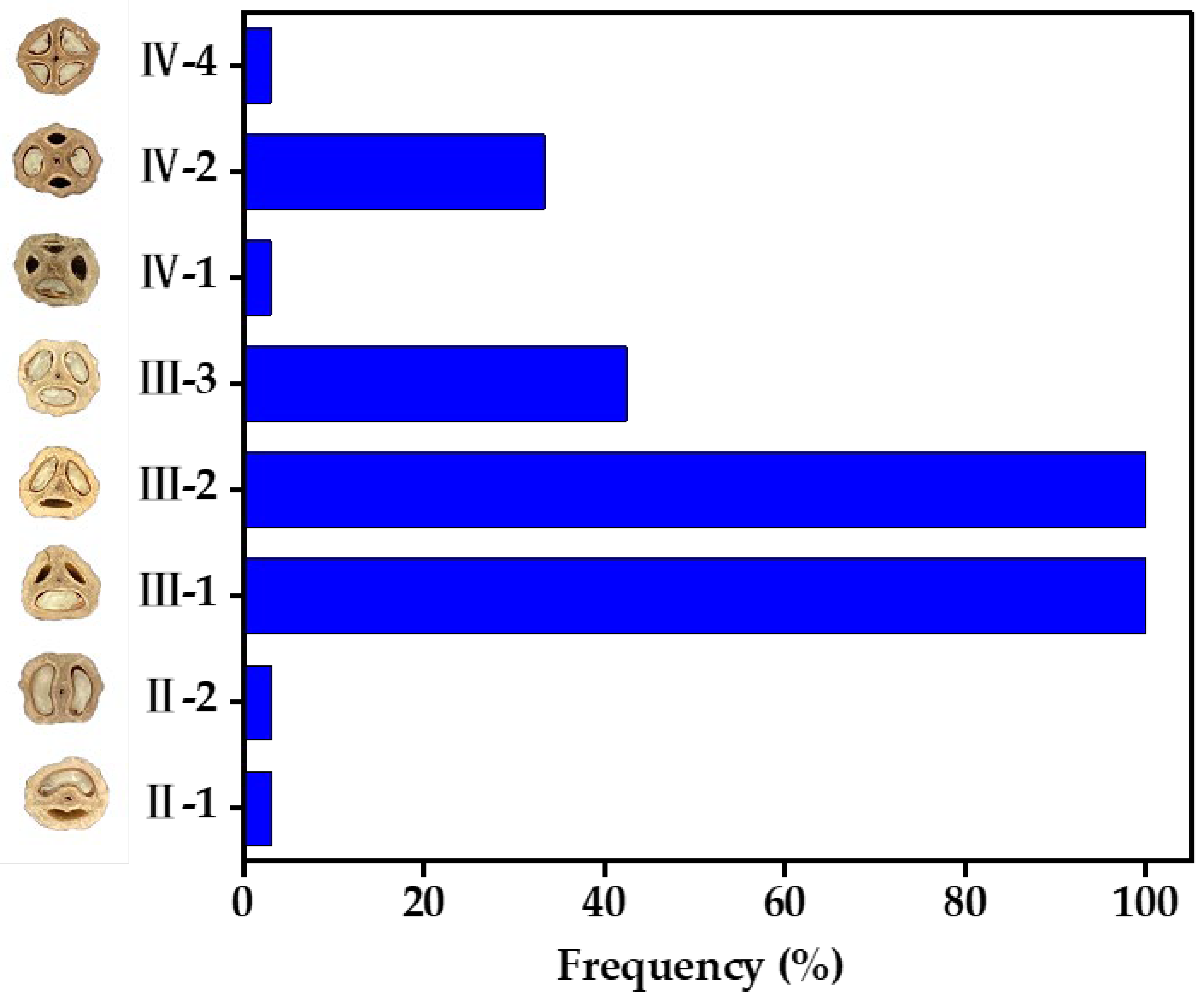 Horticulturae 10 00736 g002