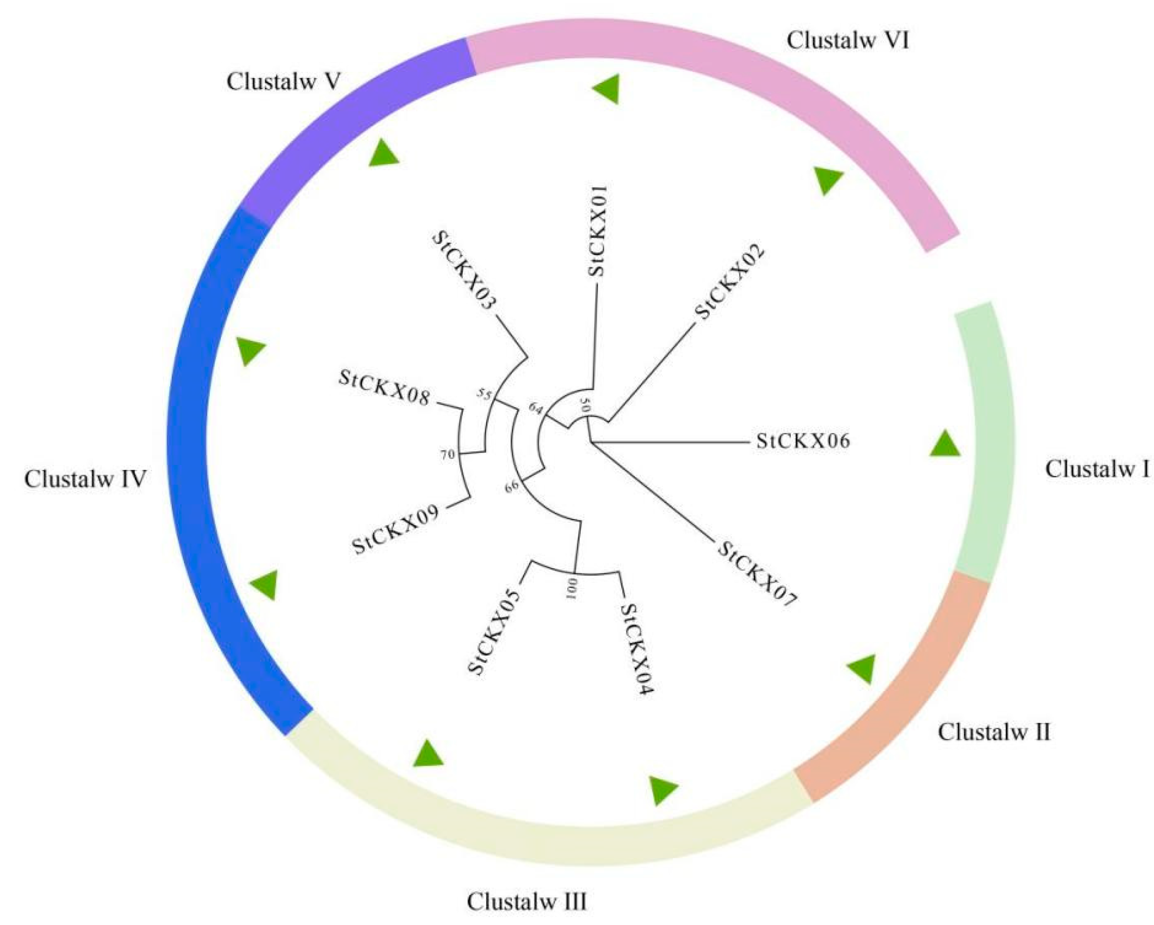 Horticulturae 10 00737 g002