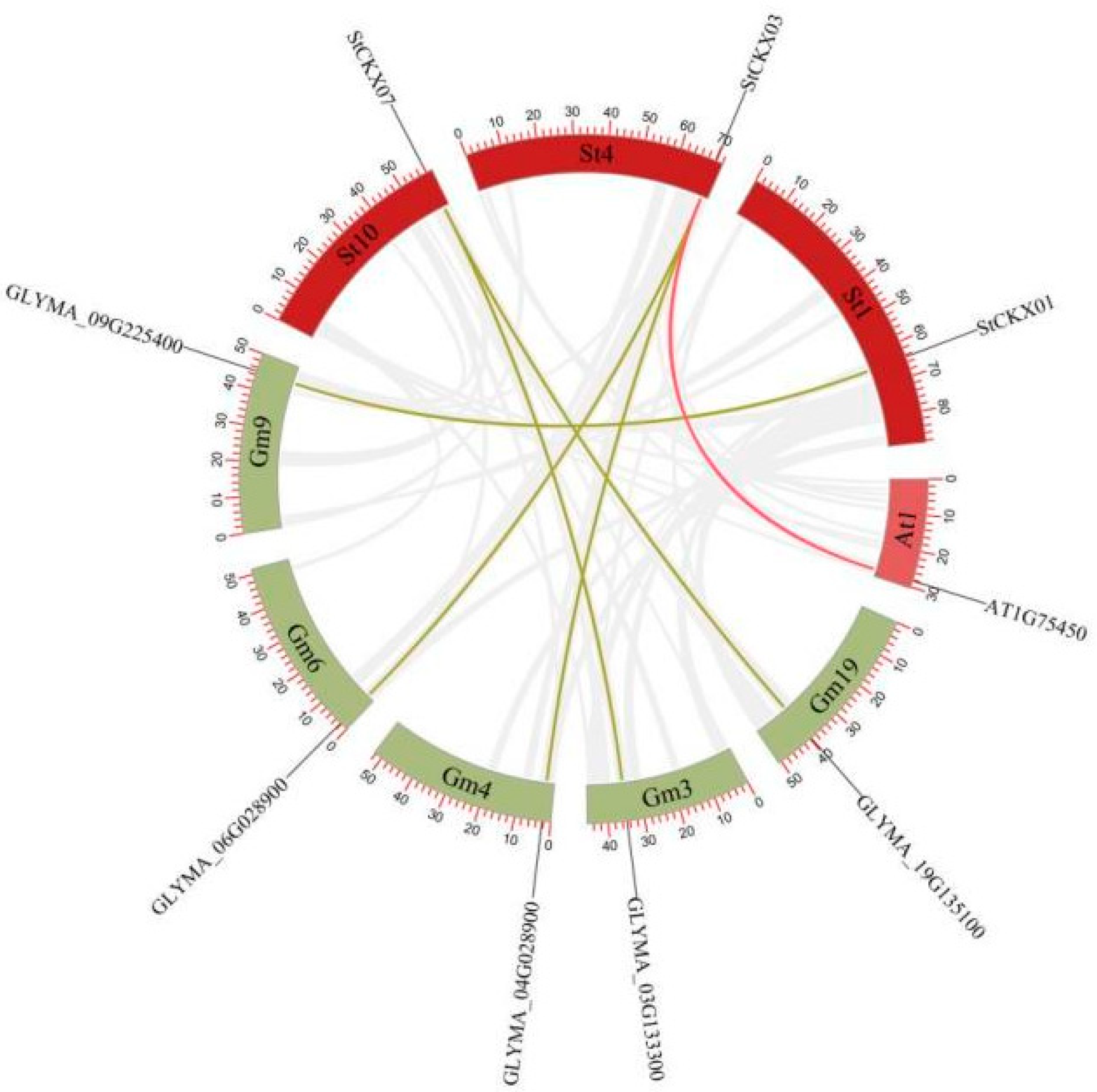 Horticulturae 10 00737 g006