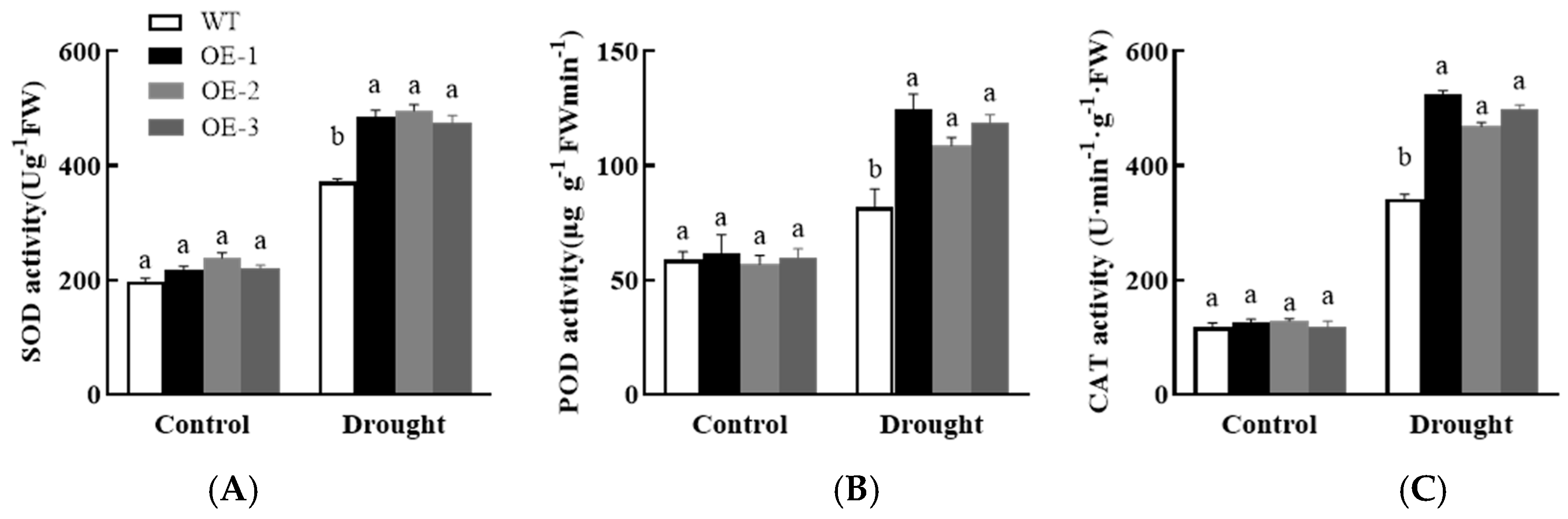 Horticulturae 10 00738 g014