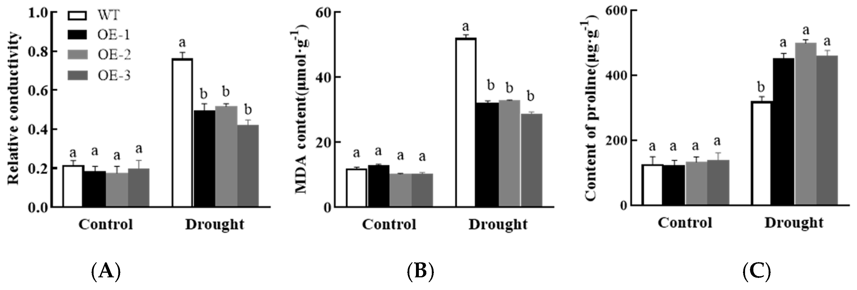 Horticulturae 10 00738 g015