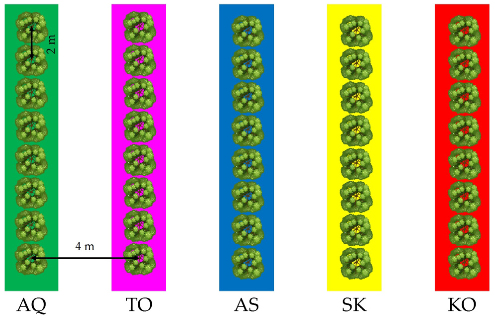 Horticulturae 10 00739 g002