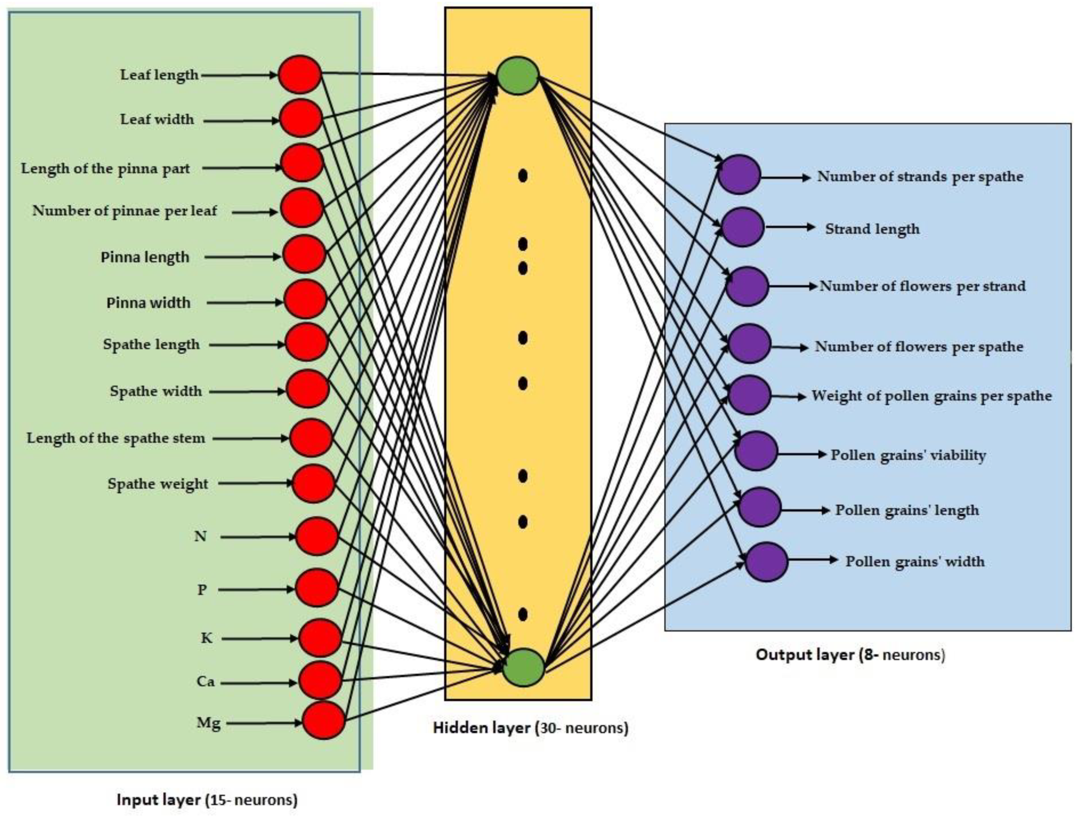Horticulturae 10 00741 g003