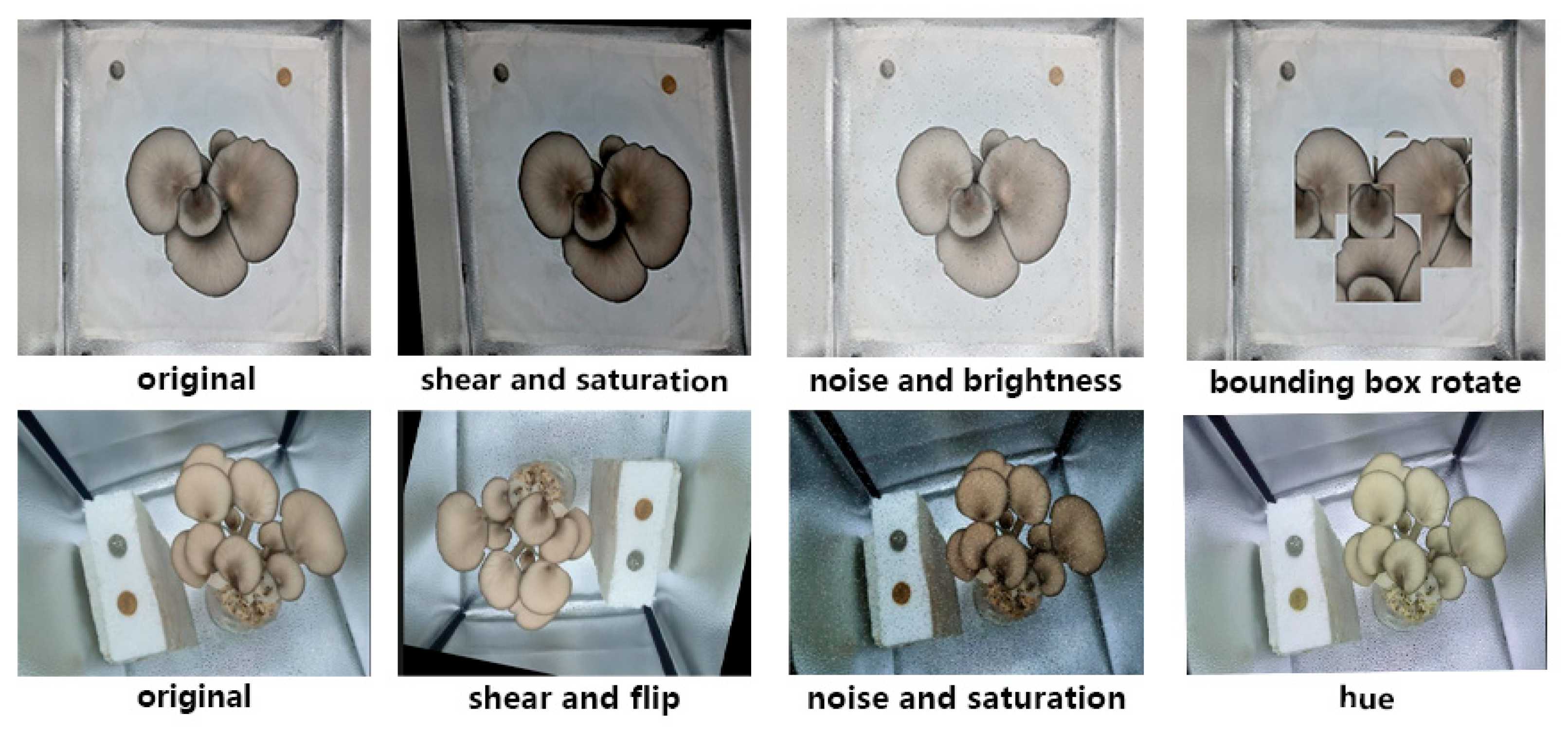 Horticulturae 10 00742 g001
