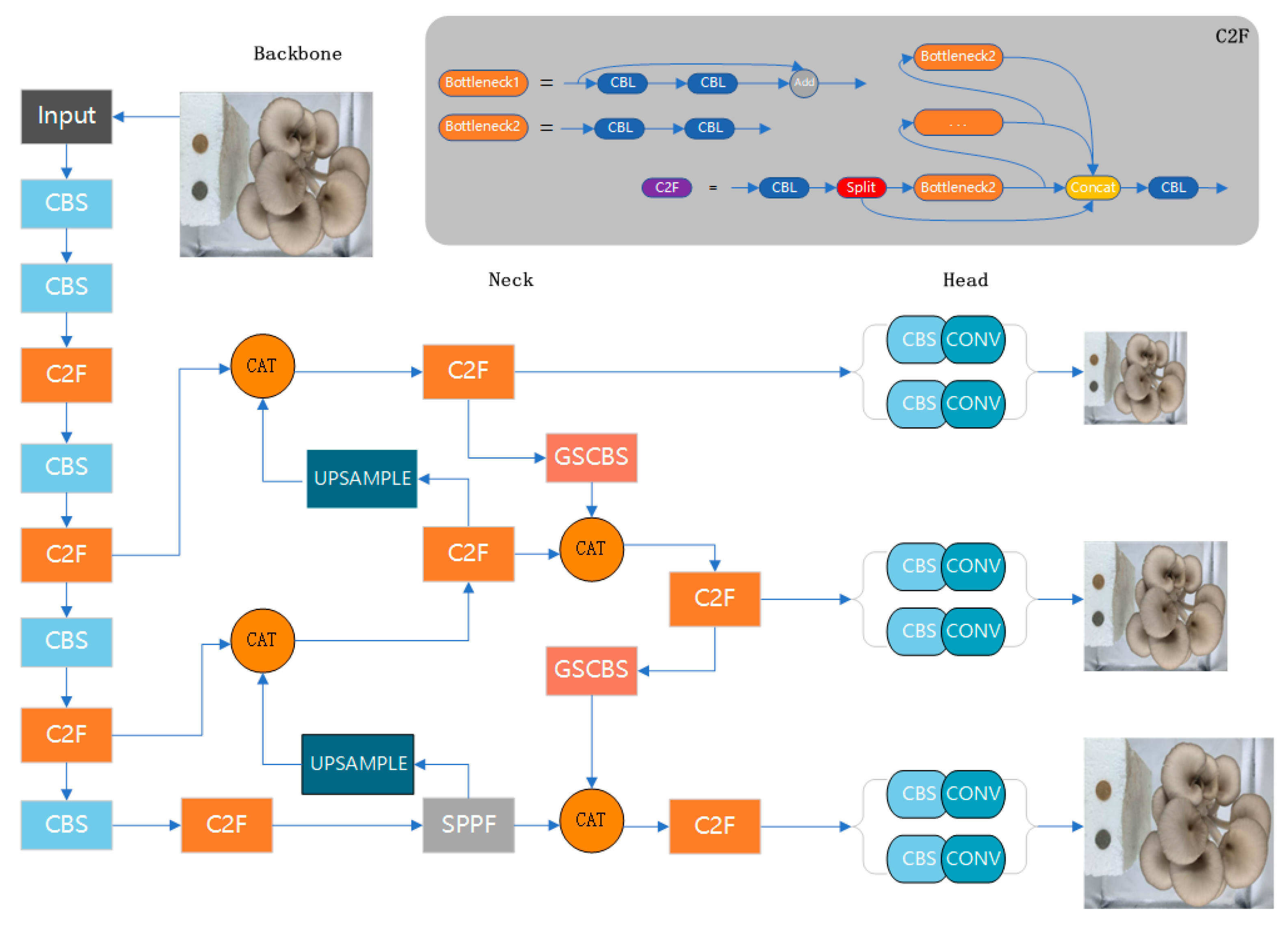 Horticulturae 10 00742 g003