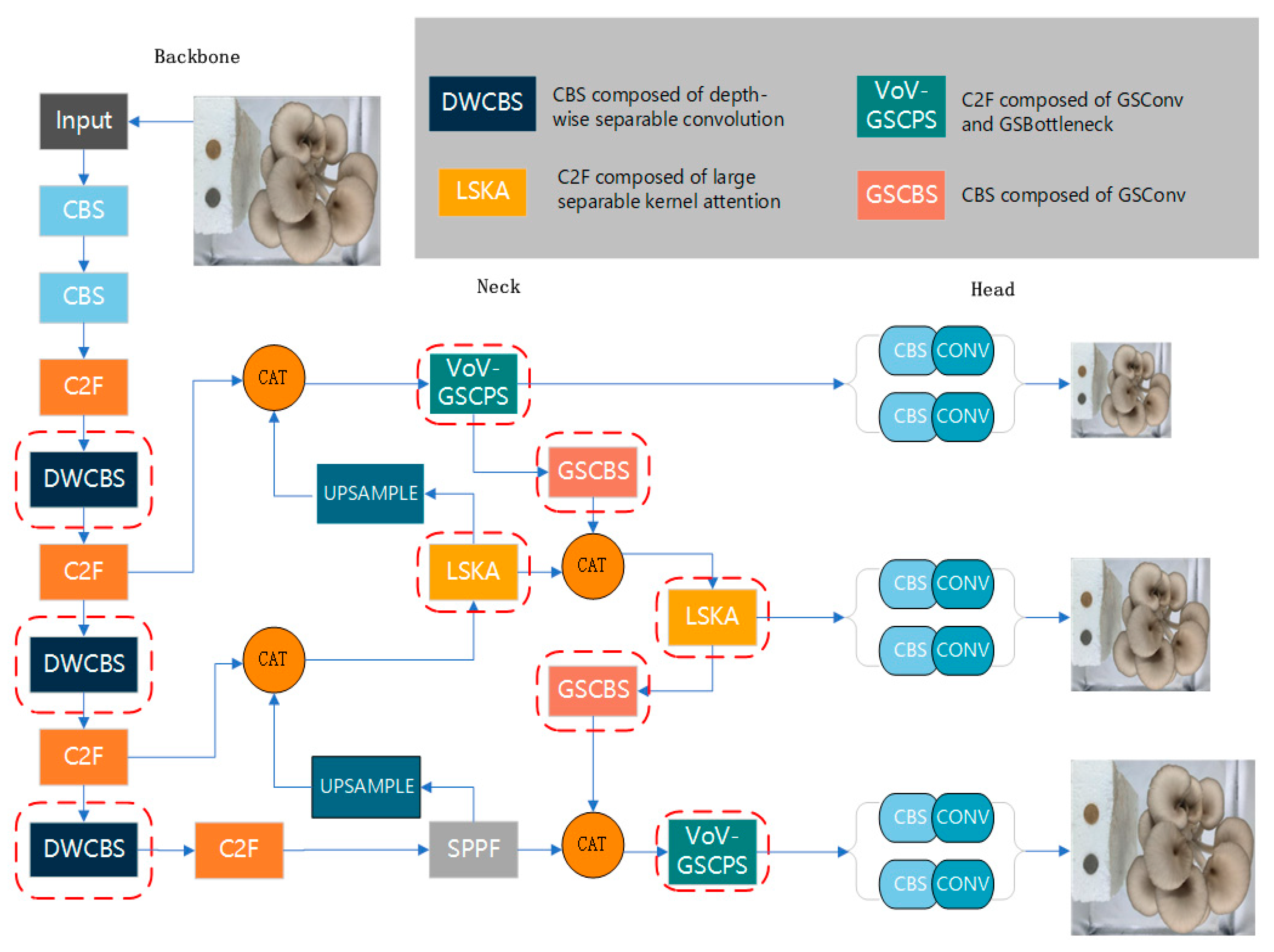 Horticulturae 10 00742 g004
