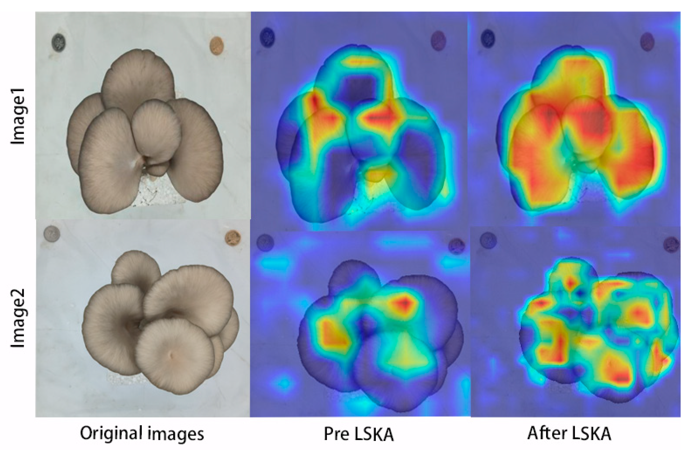 Horticulturae 10 00742 g017