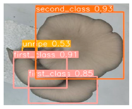 Horticulturae 10 00742 i001