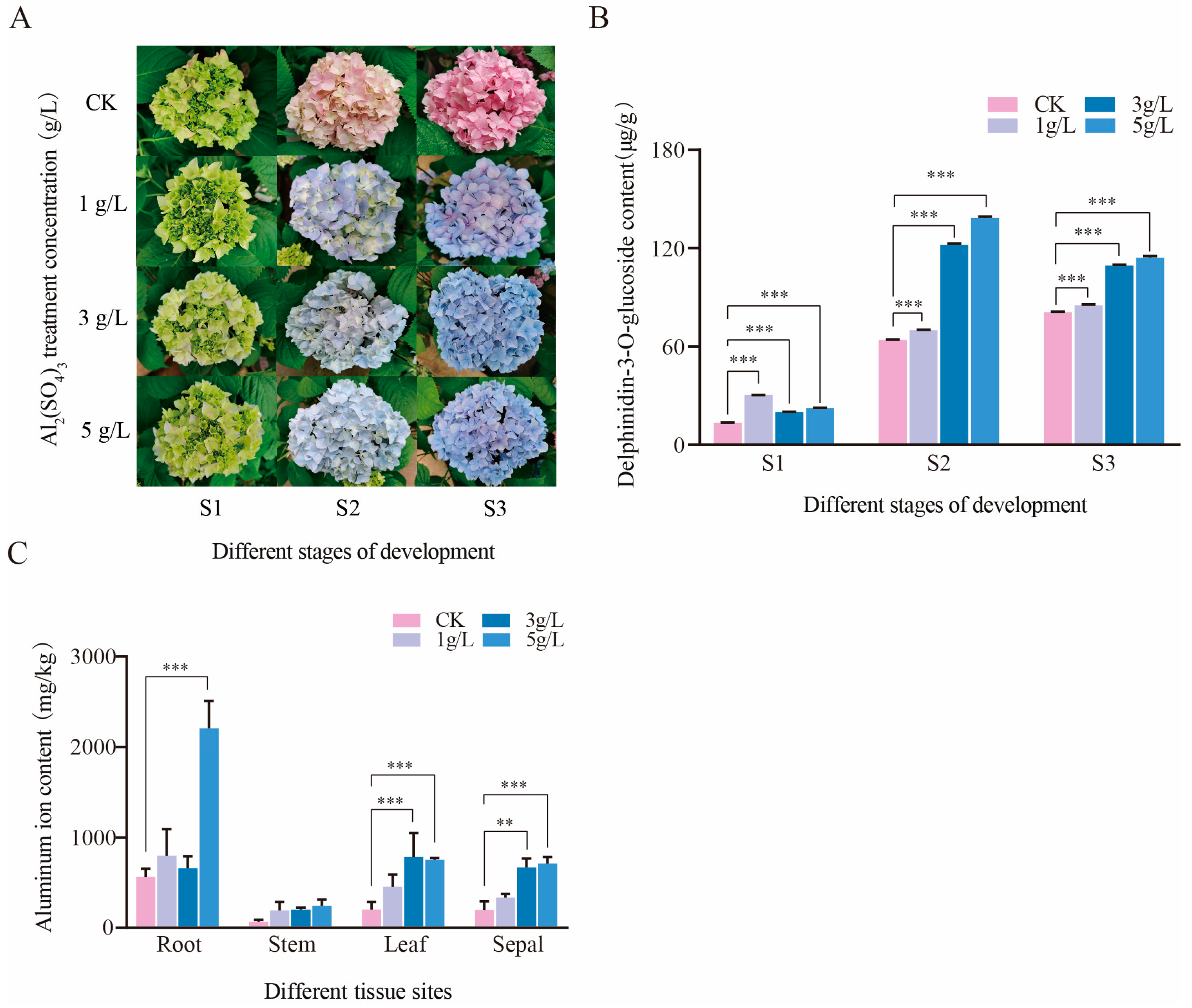 Horticulturae 10 00745 g001
