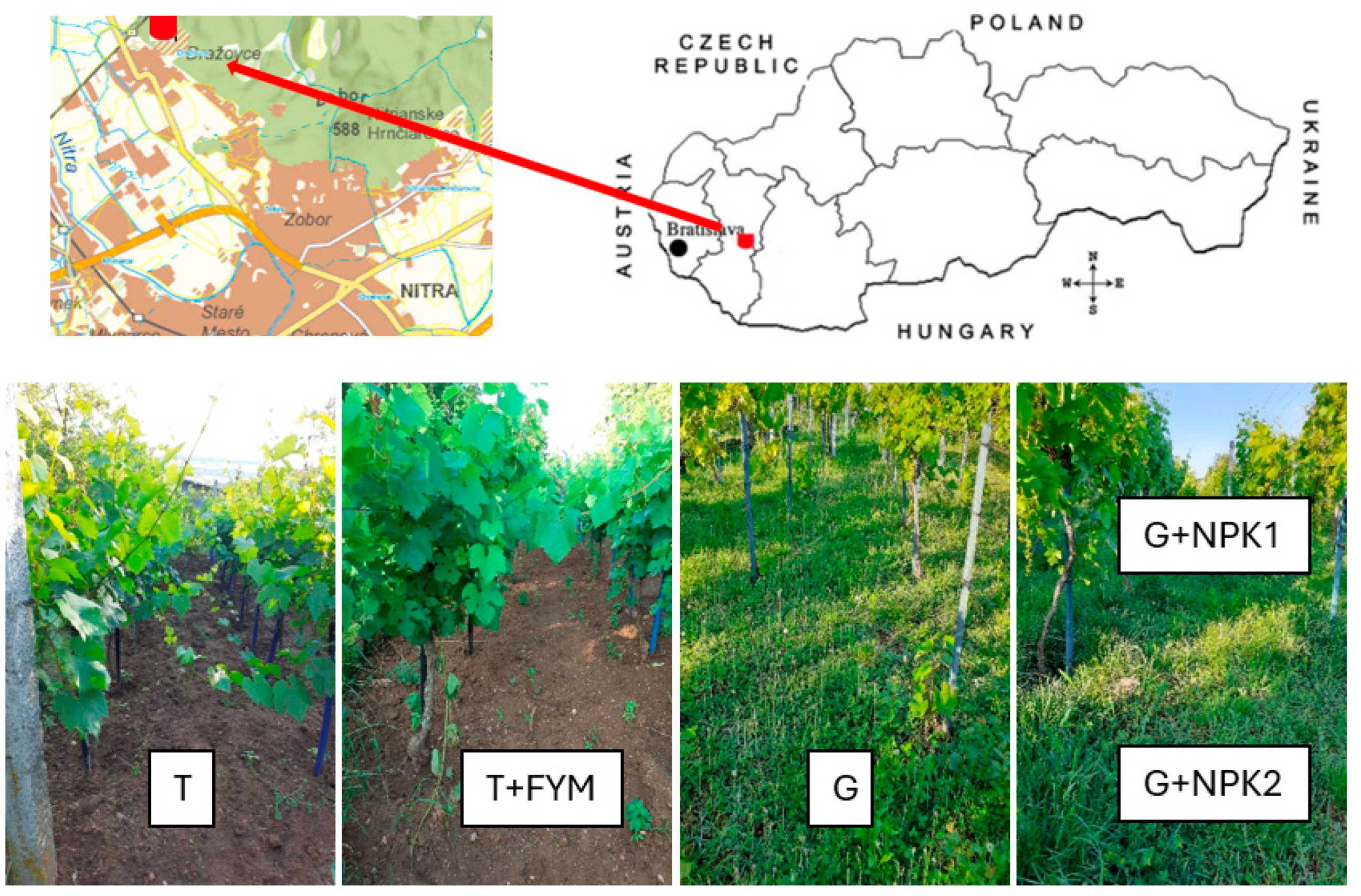 Horticulturae 10 00753 g001