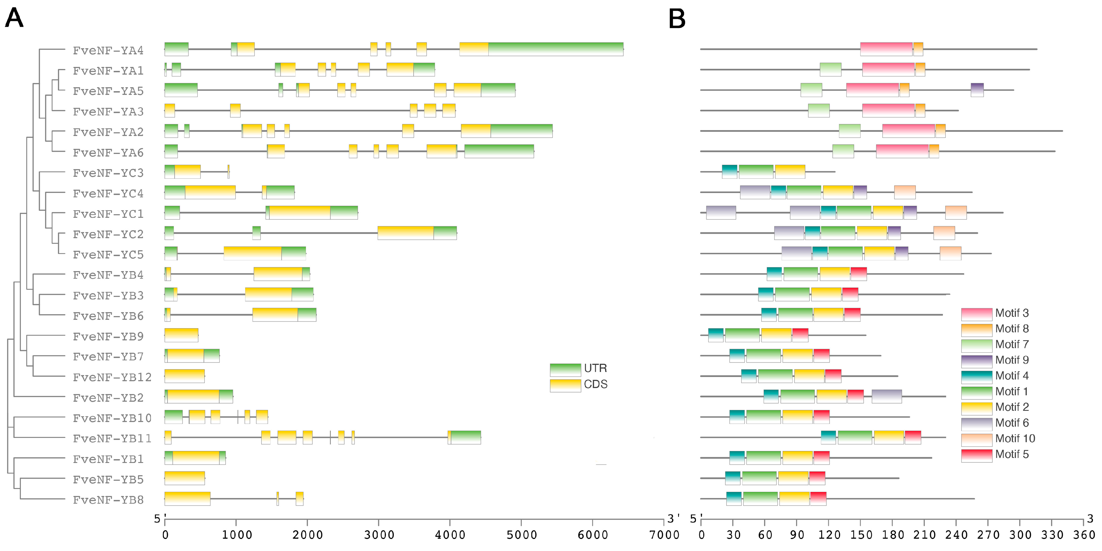 Horticulturae 10 00755 g002 Horticulturae 10 00755 g002