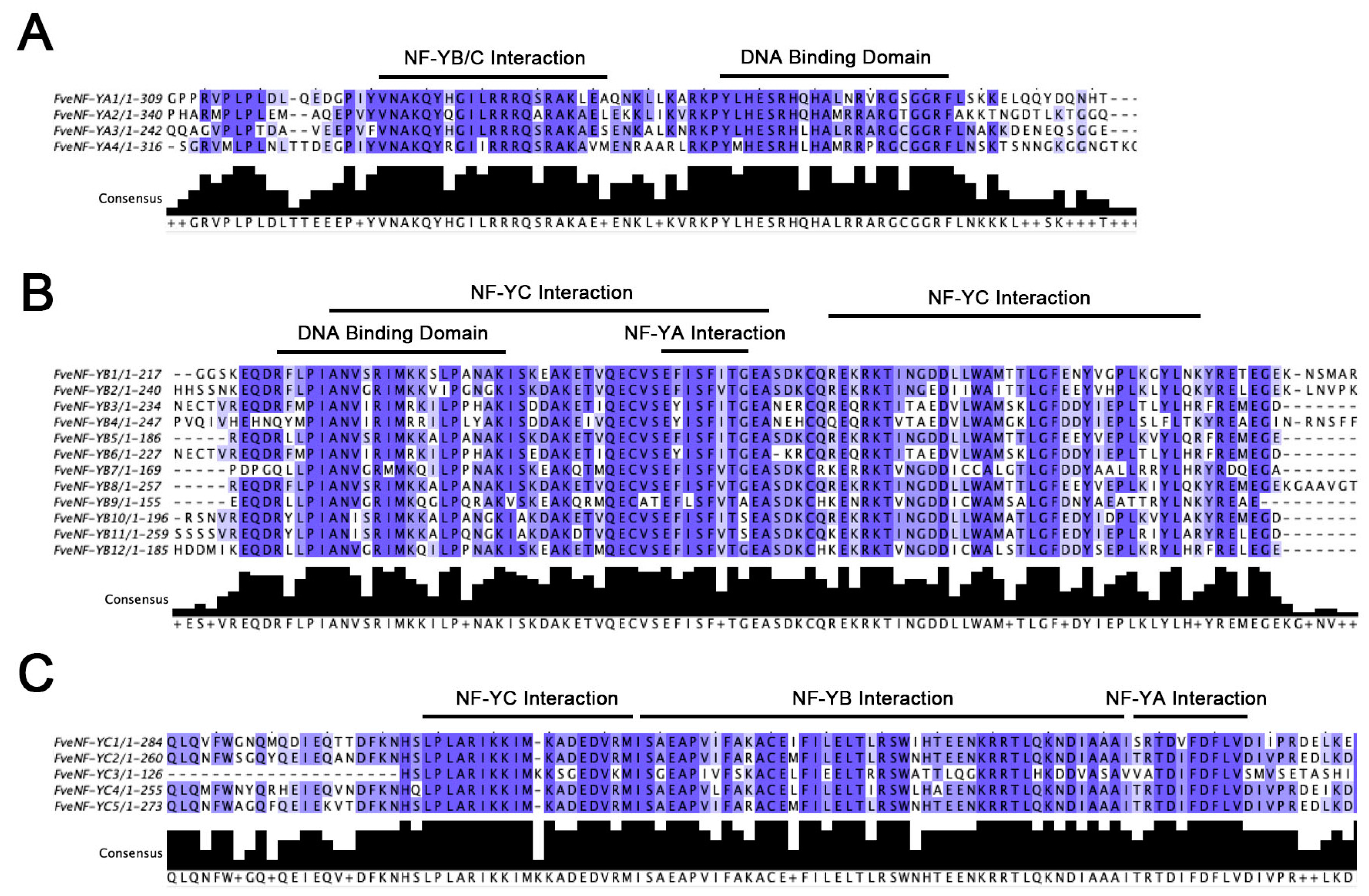 Horticulturae 10 00755 g003 Horticulturae 10 00755 g003