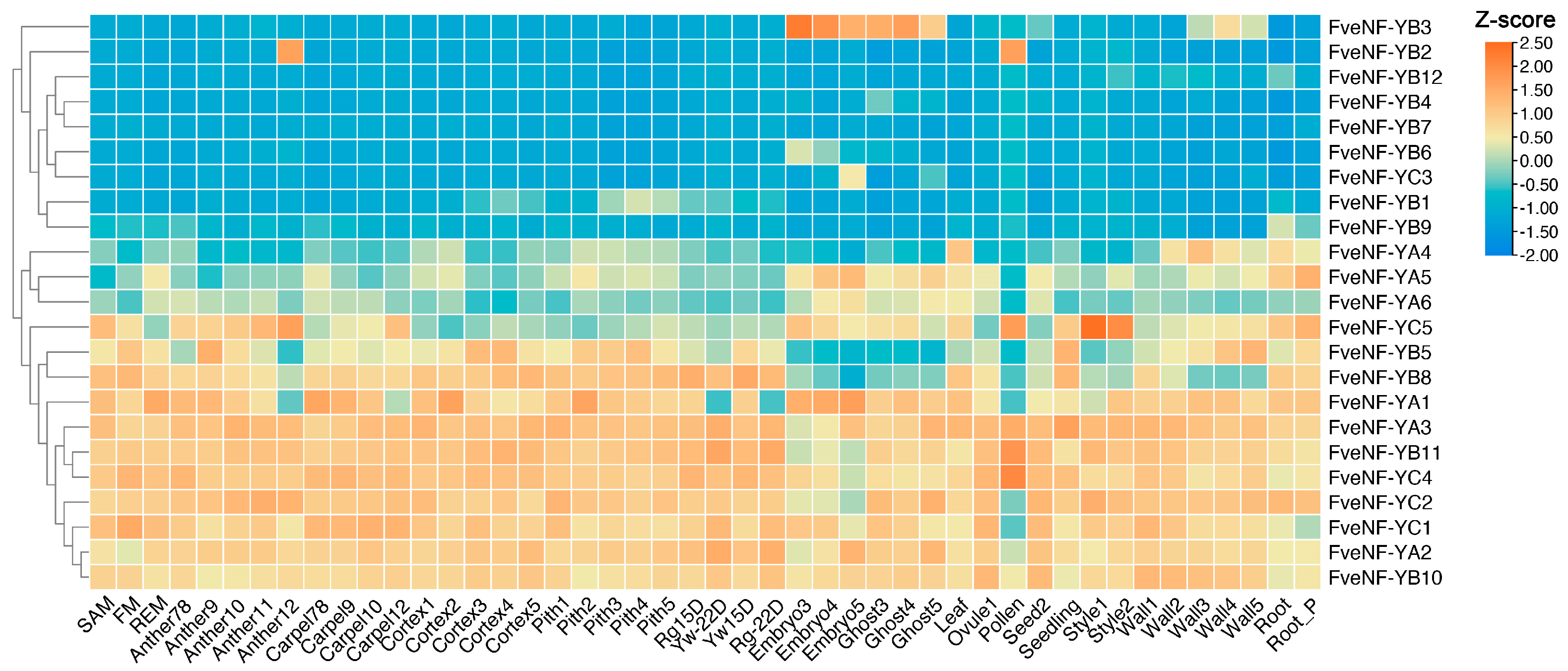 Horticulturae 10 00755 g007 Horticulturae 10 00755 g007