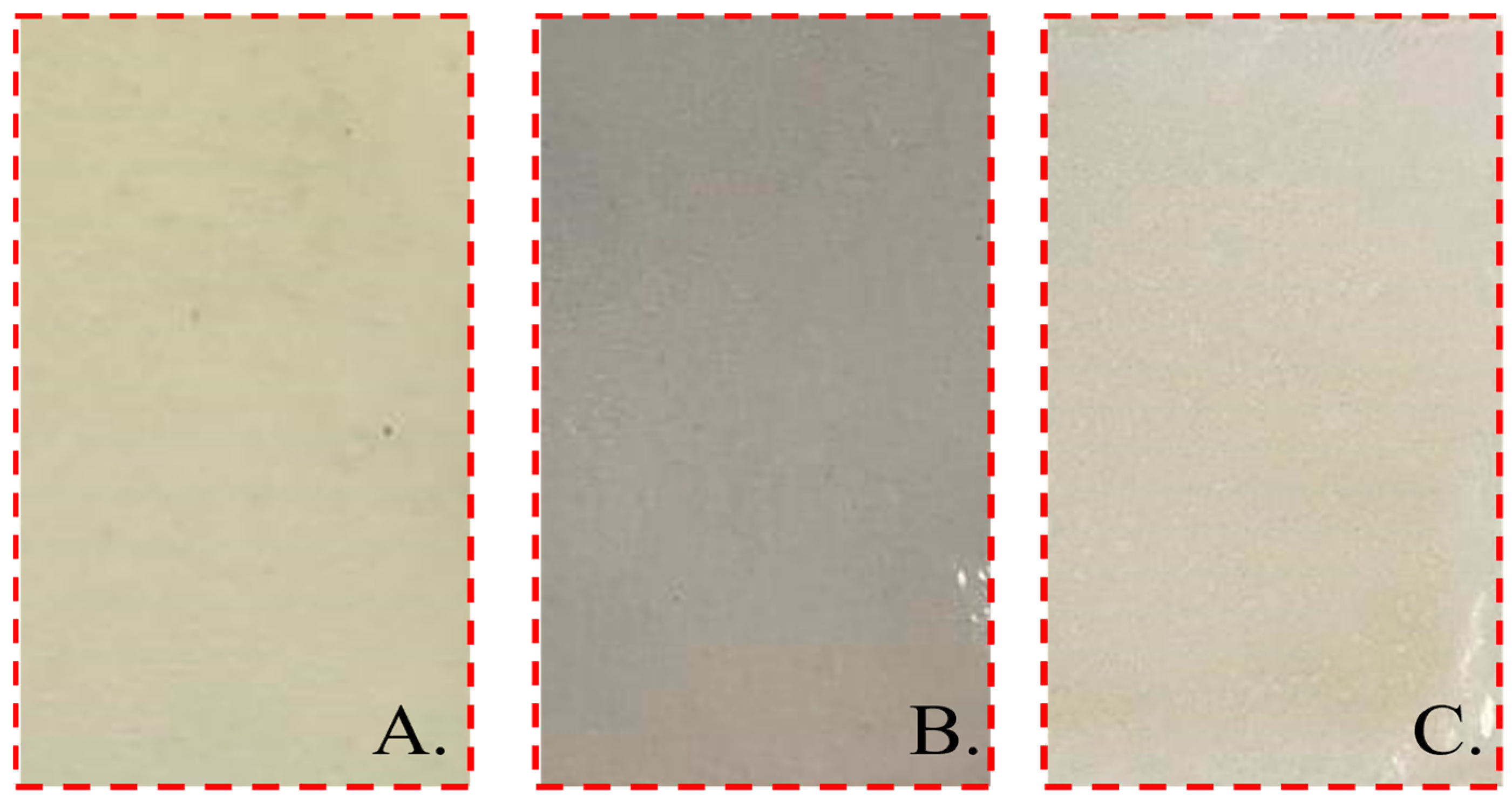 Horticulturae 10 00756 g001