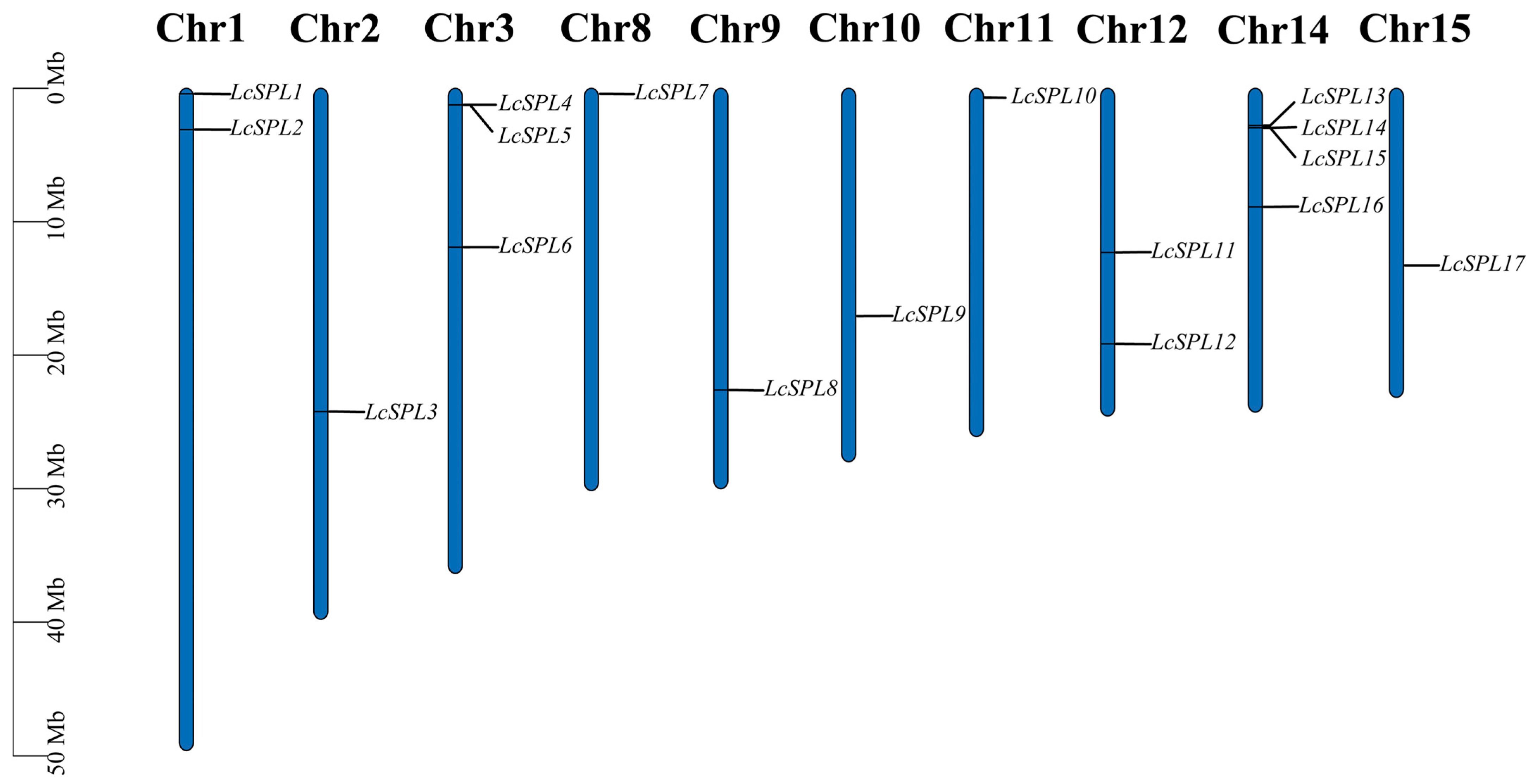 Horticulturae 10 00762 g001