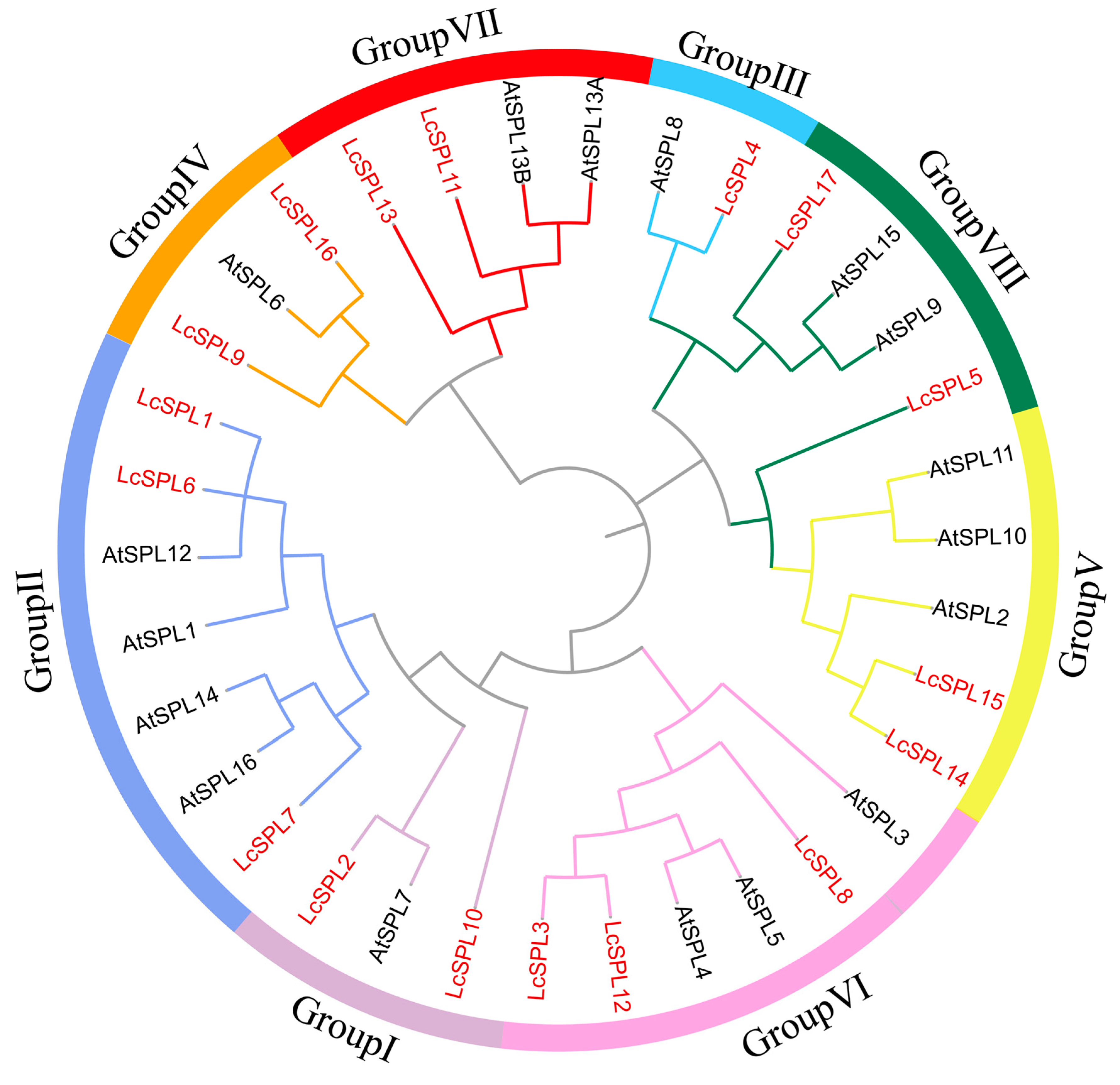 Horticulturae 10 00762 g002
