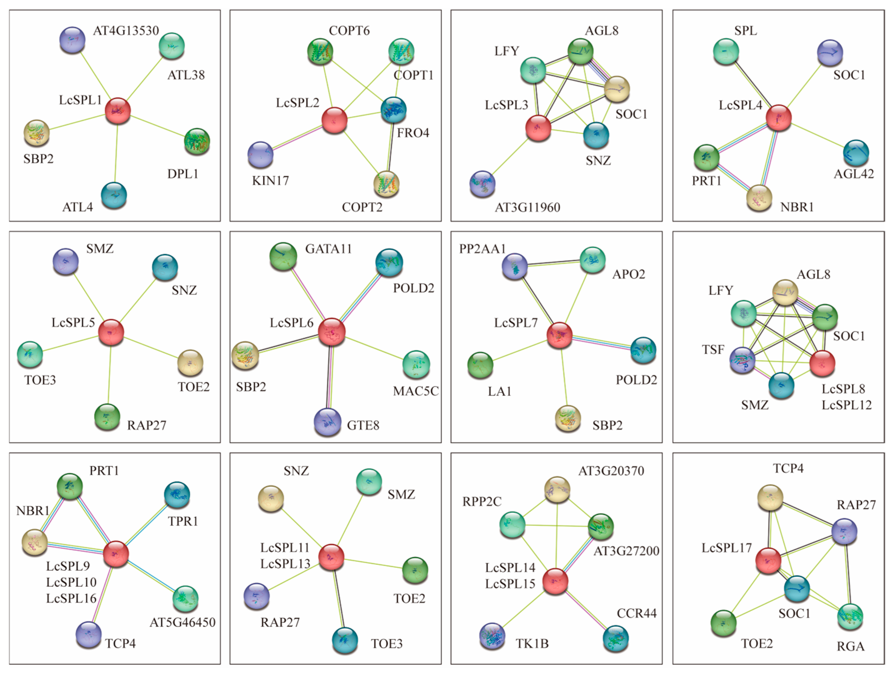 Horticulturae 10 00762 g008
