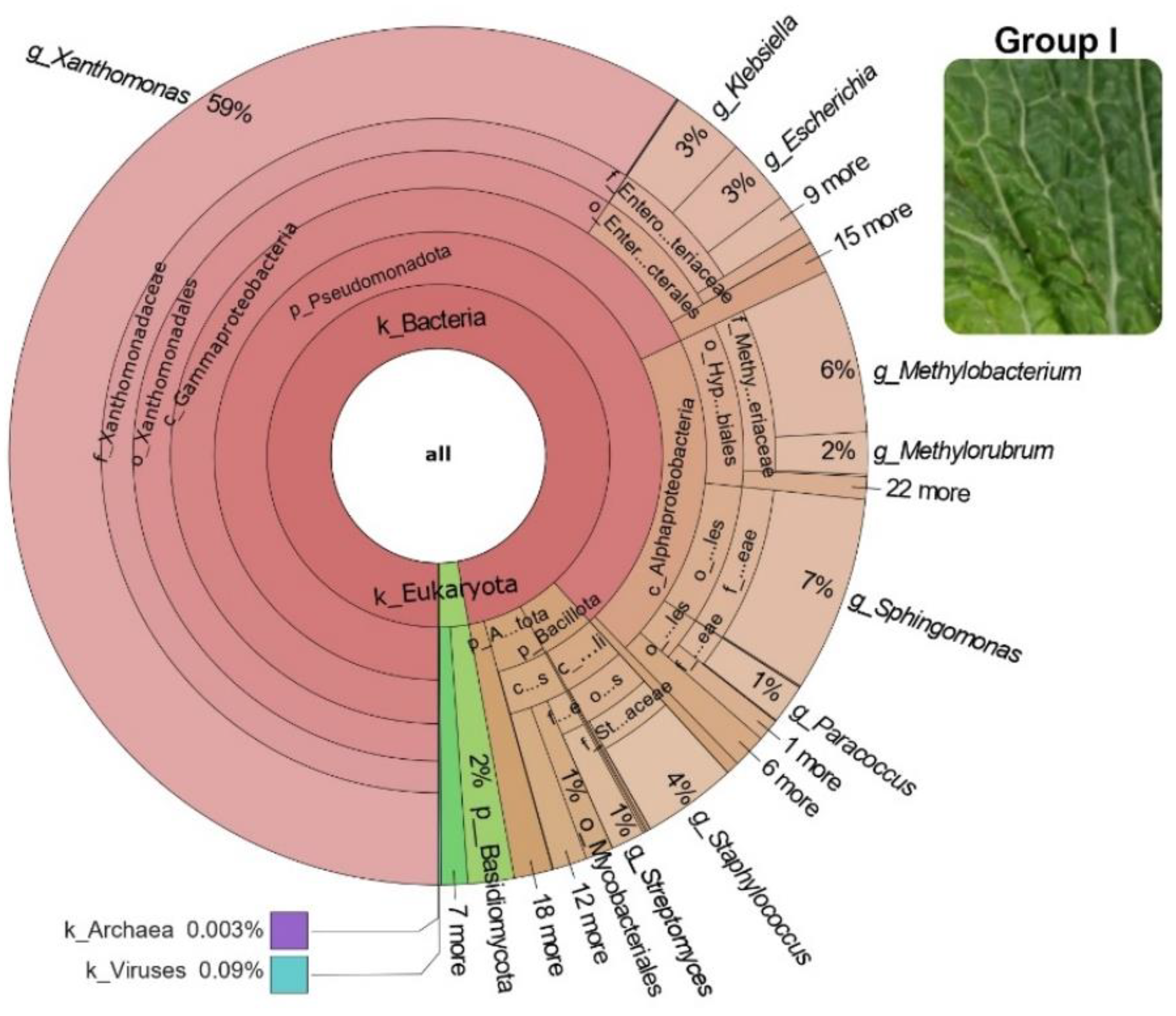Horticulturae 10 00765 g004