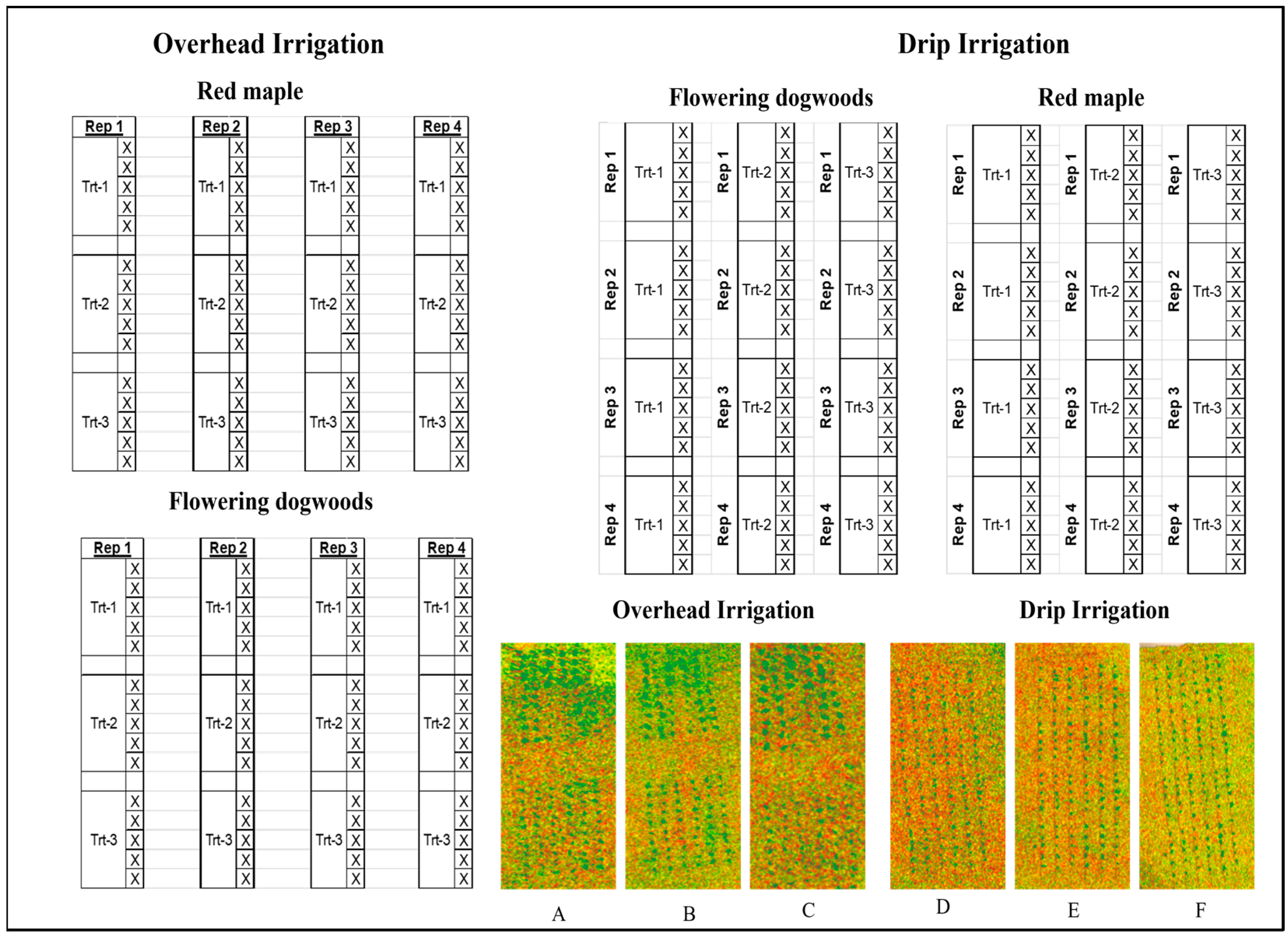 Horticulturae 10 00767 g005 Horticulturae 10 00767 g005