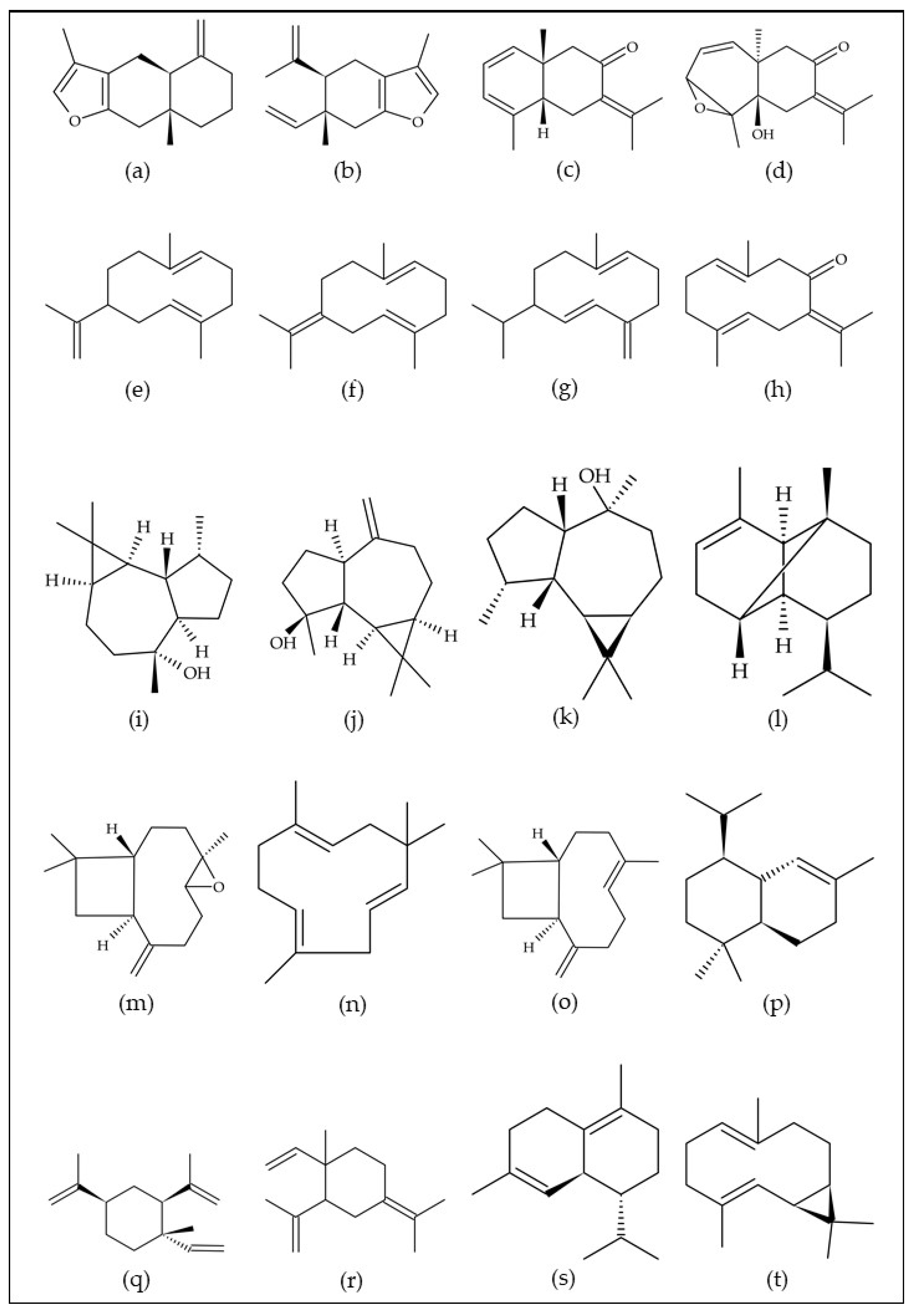 Horticulturae 10 00768 g001 Horticulturae 10 00768 g001