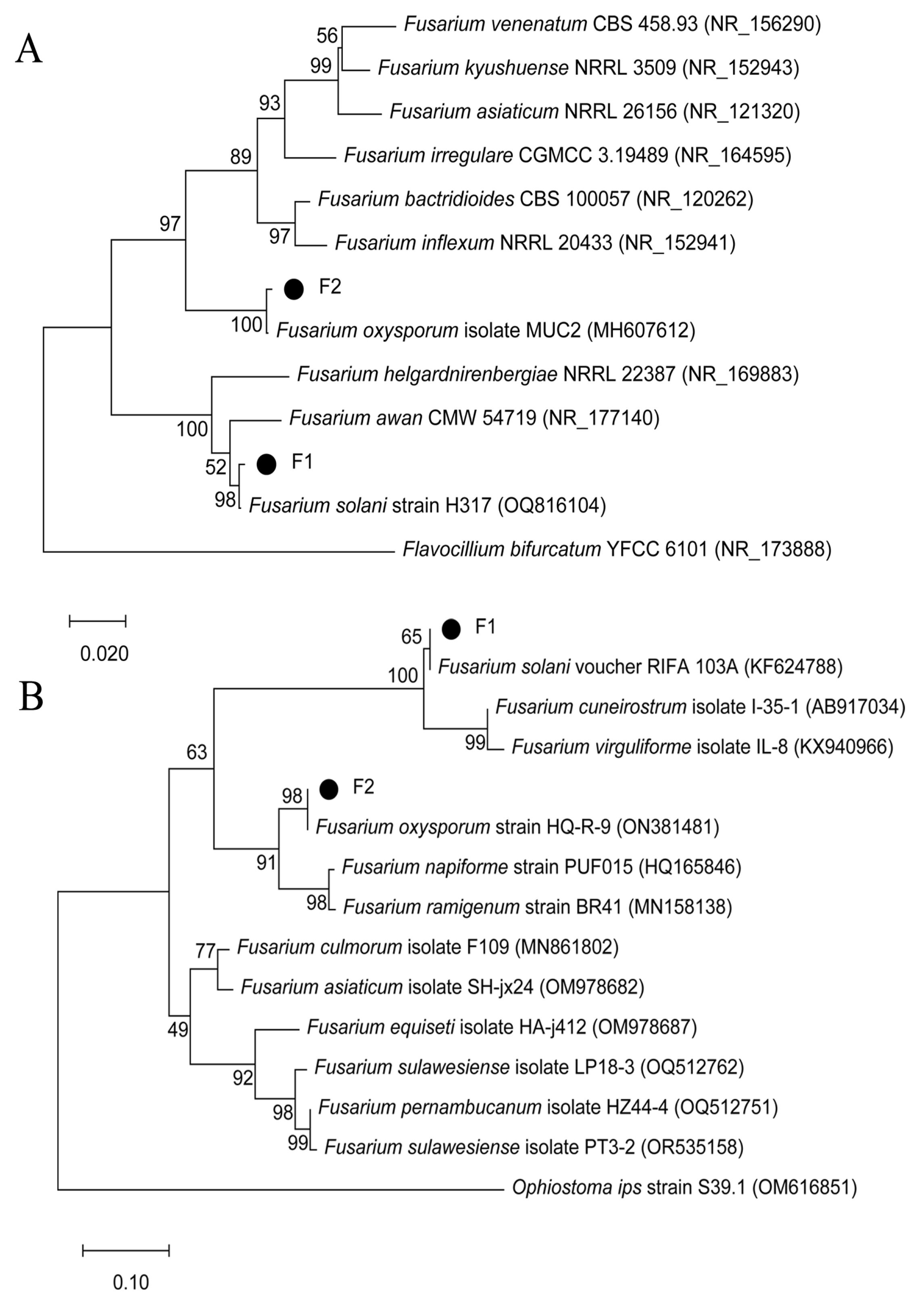 Horticulturae 10 00771 g004