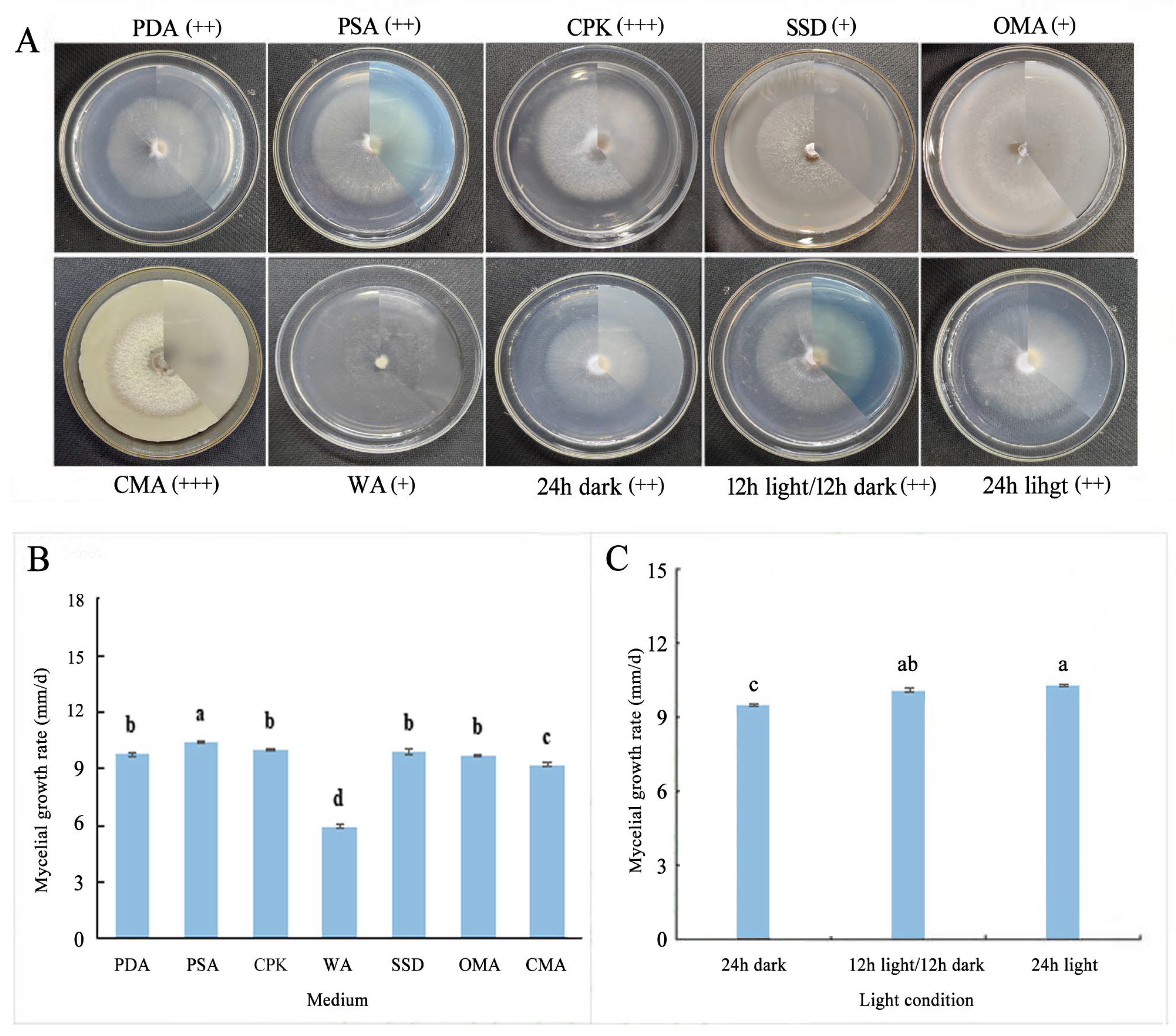 Horticulturae 10 00771 g006