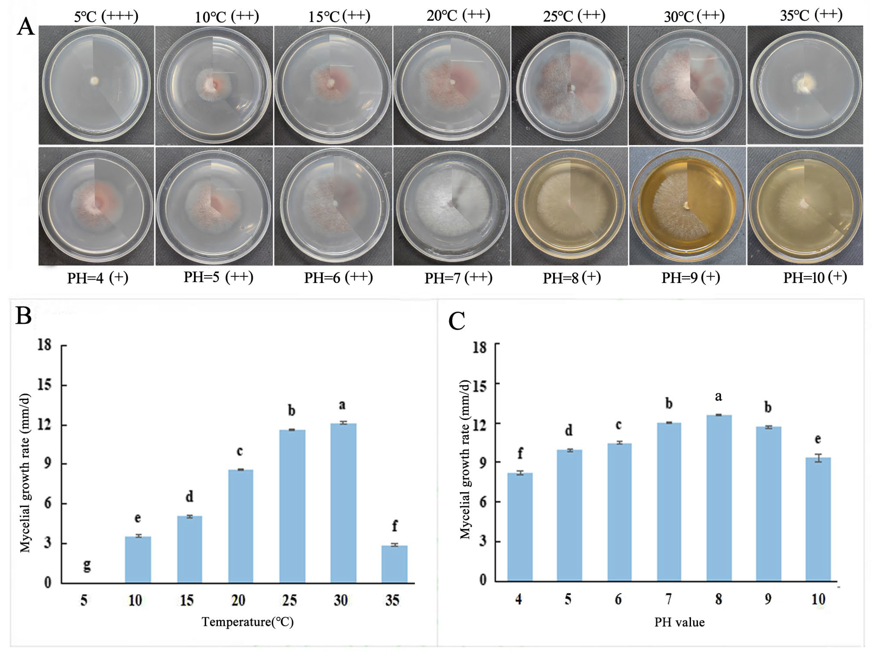 Horticulturae 10 00771 g009