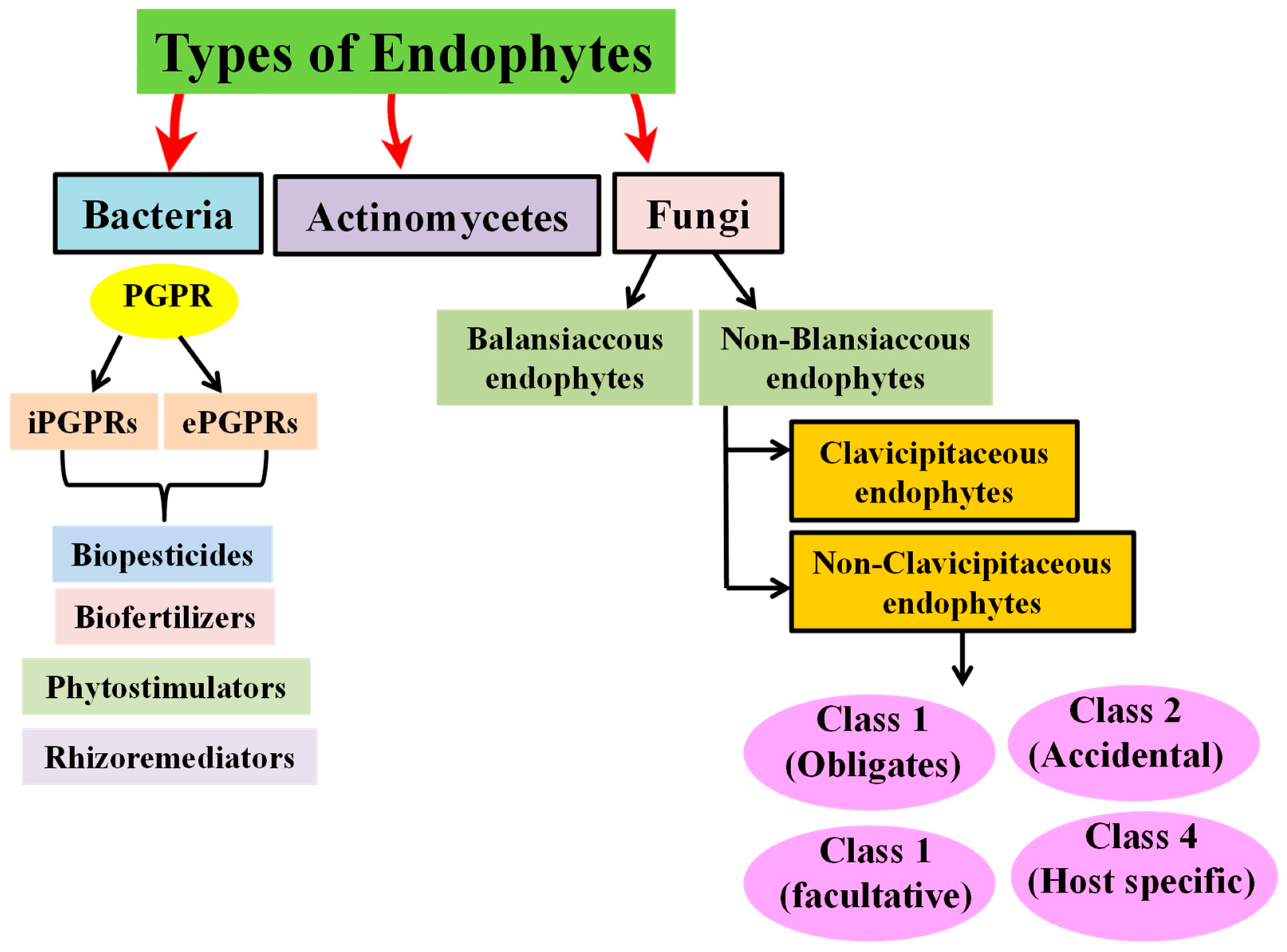 Horticulturae 10 00779 g001 Horticulturae 10 00779 g001