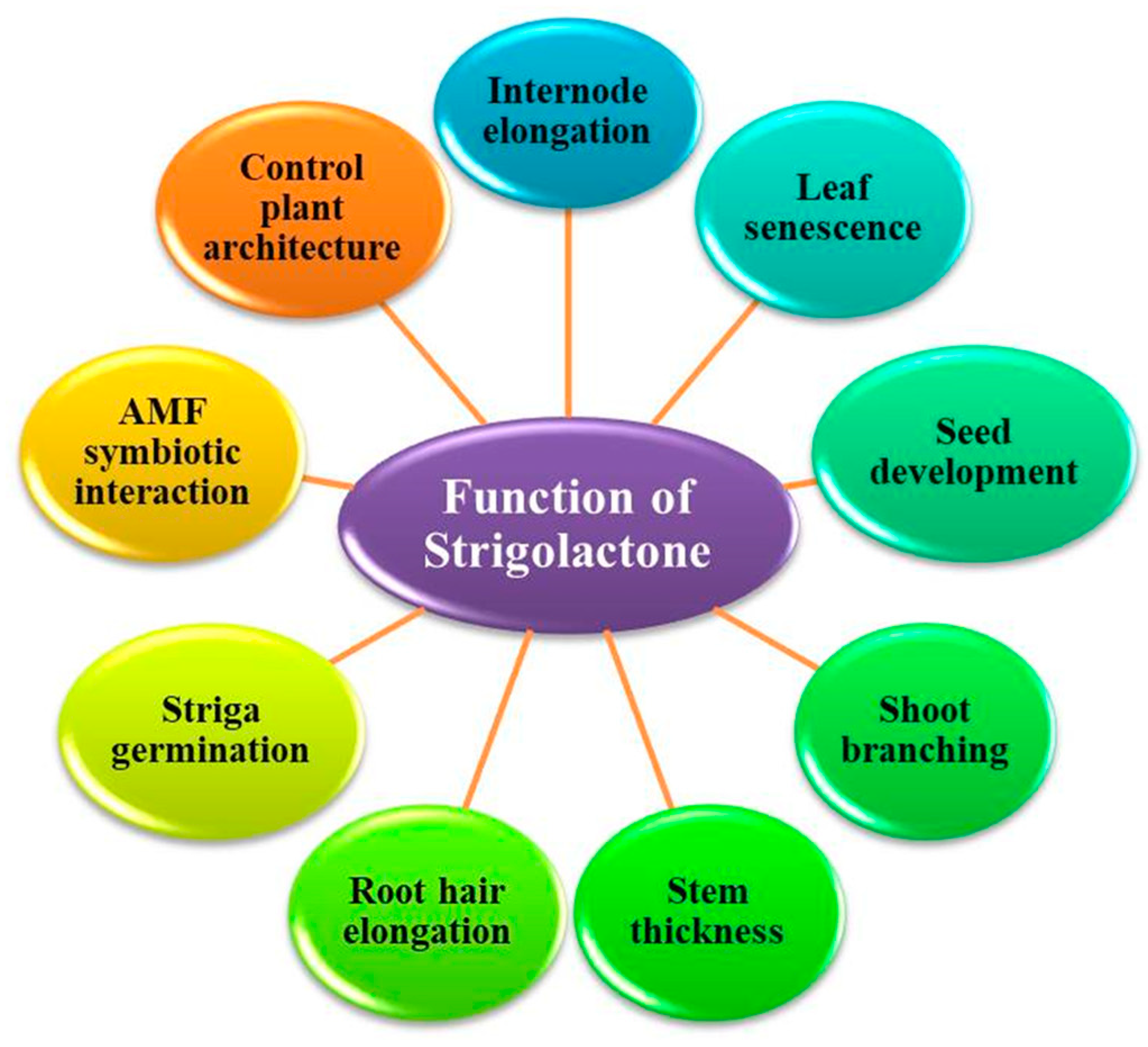 Horticulturae 10 00779 g003 Horticulturae 10 00779 g003