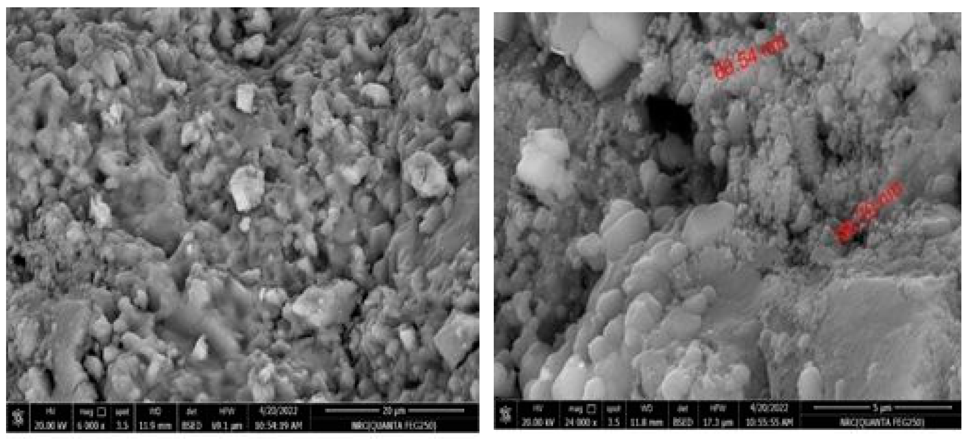 Horticulturae 10 00789 g002