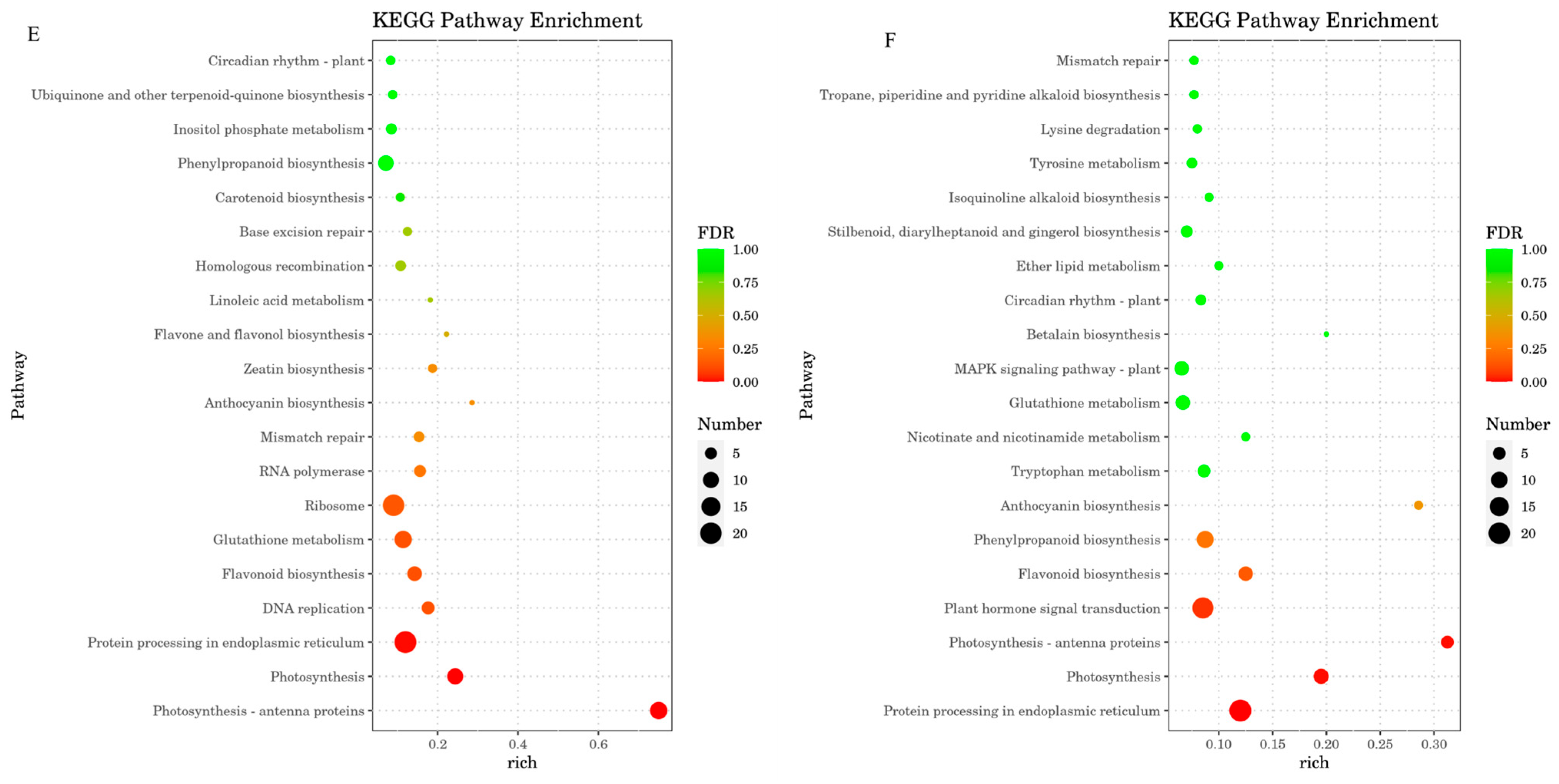 Horticulturae 10 00791 g004b