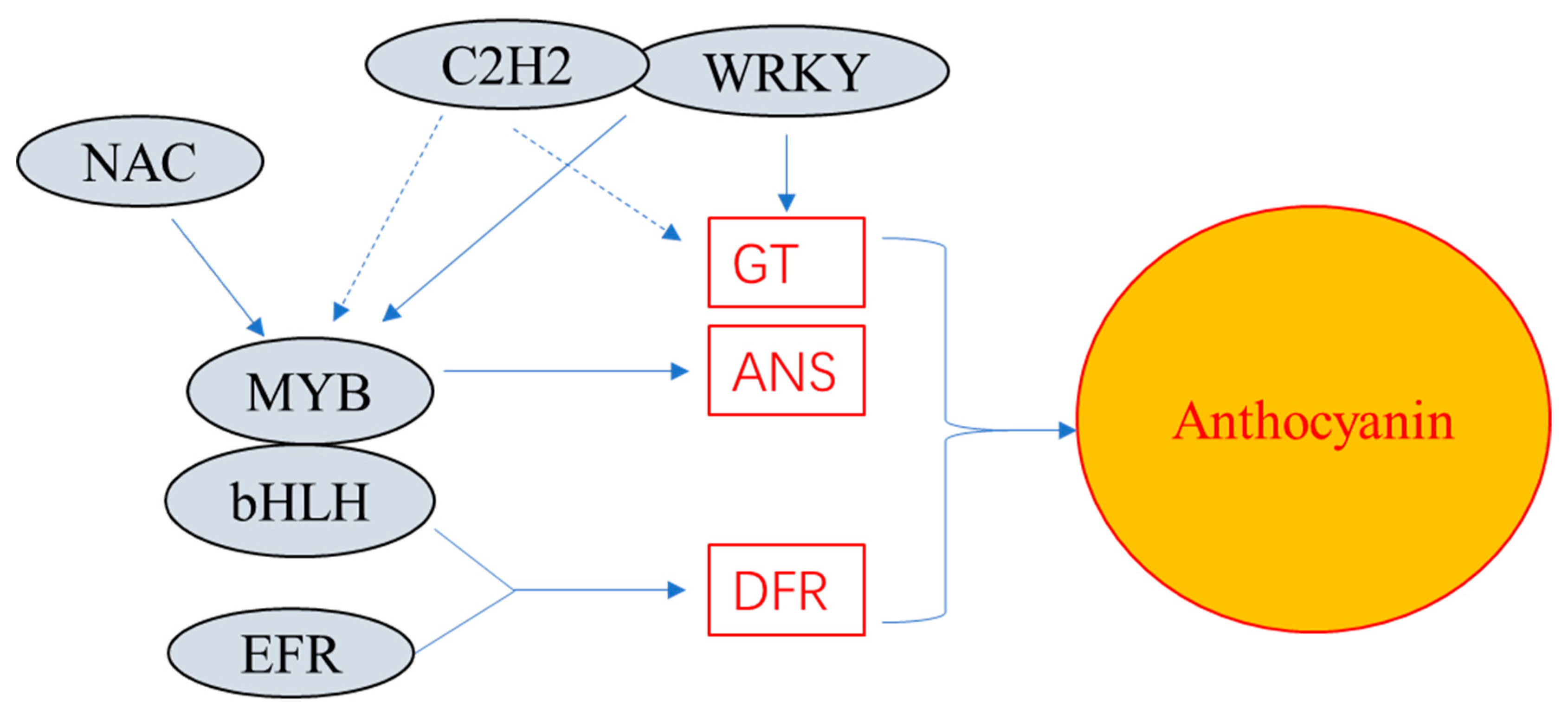 Horticulturae 10 00791 g008