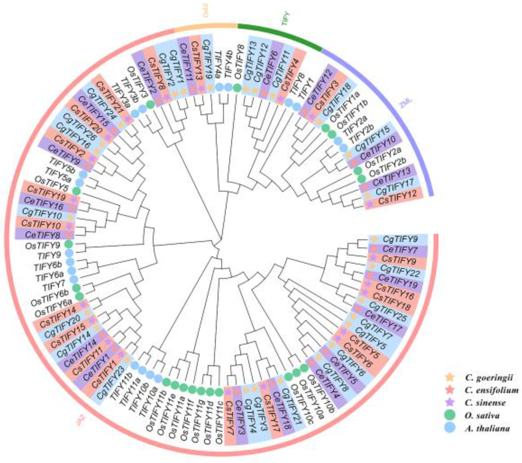 Horticulturae 10 00796 g001