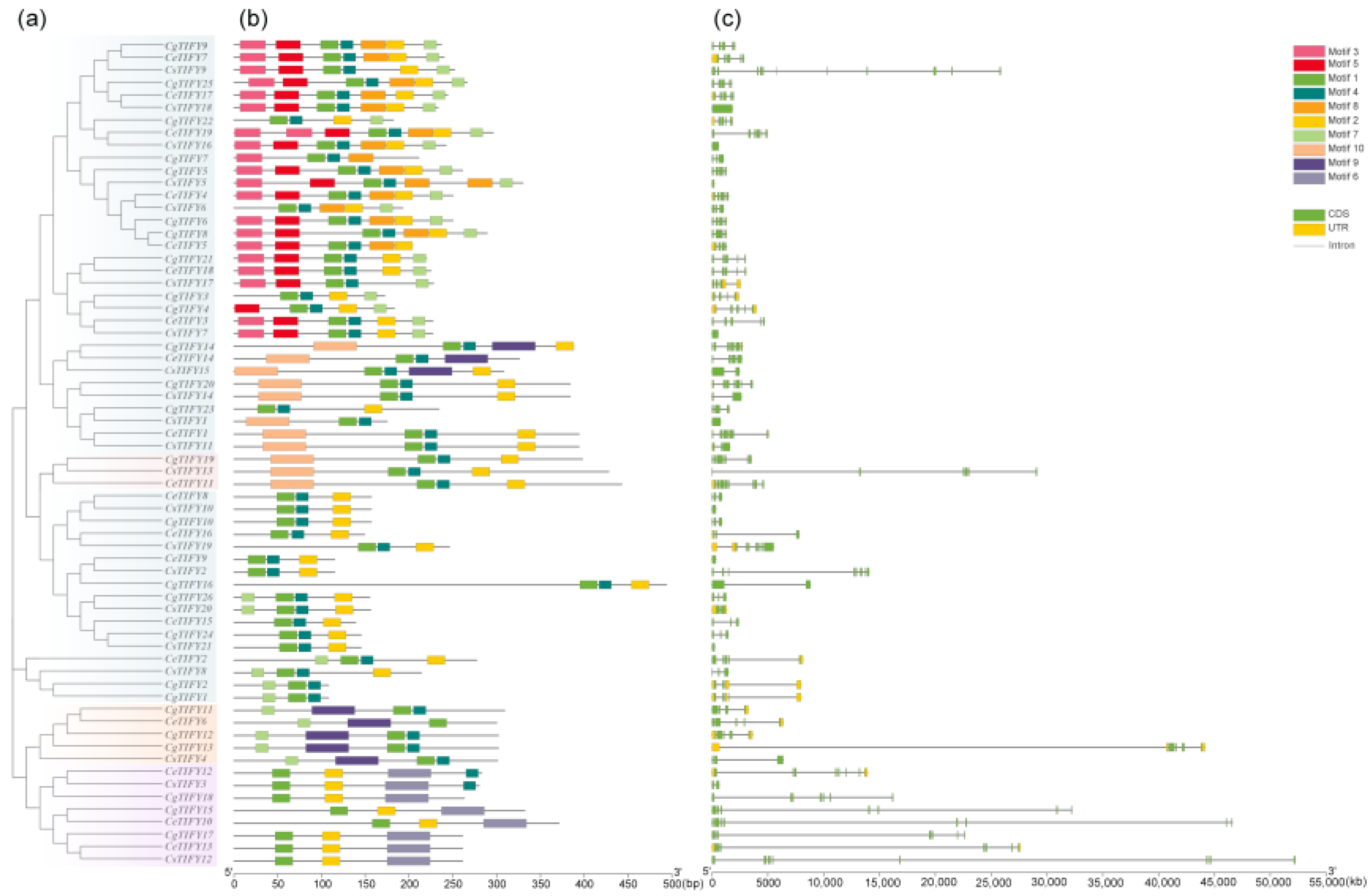 Horticulturae 10 00796 g002