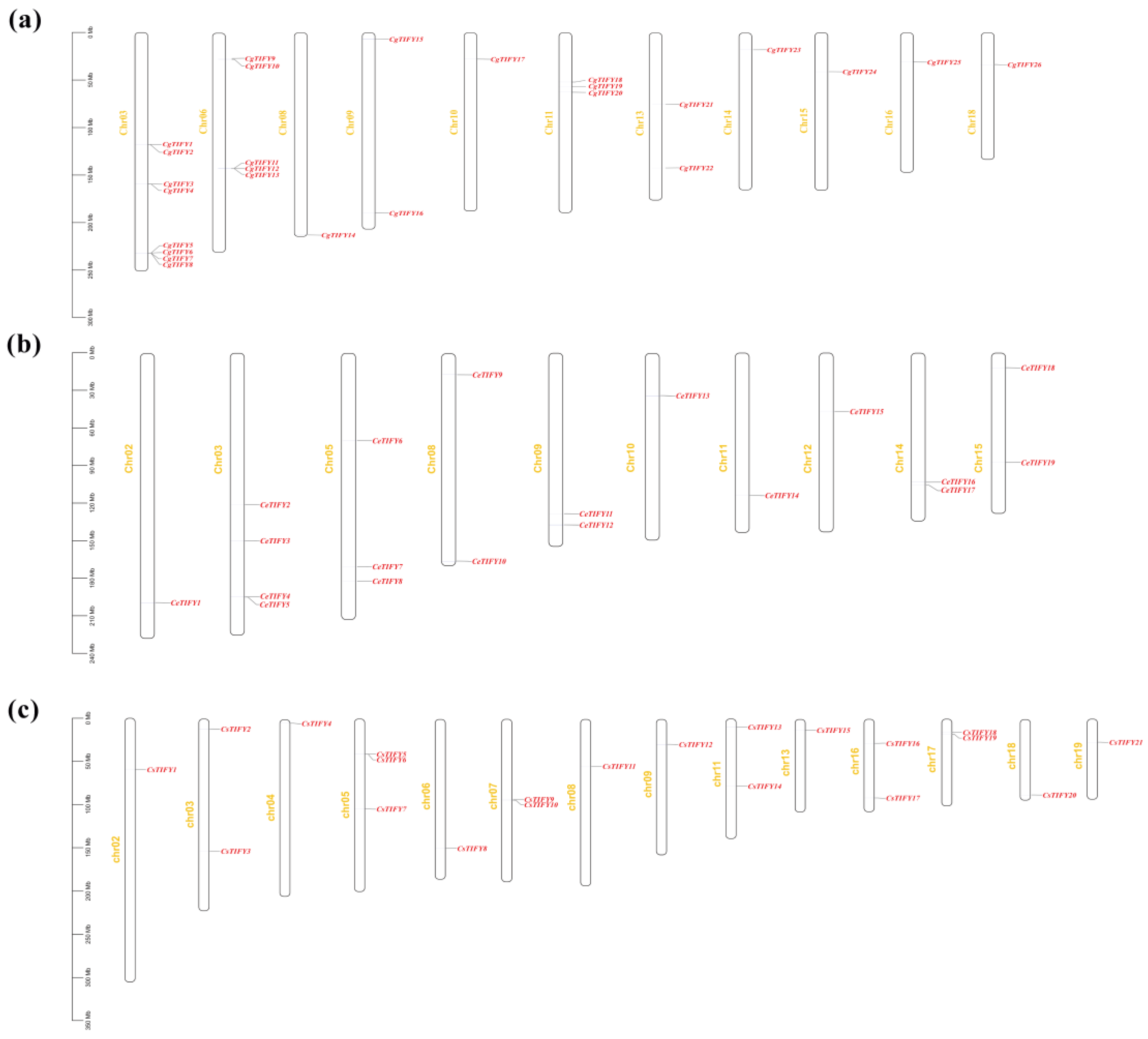 Horticulturae 10 00796 g004