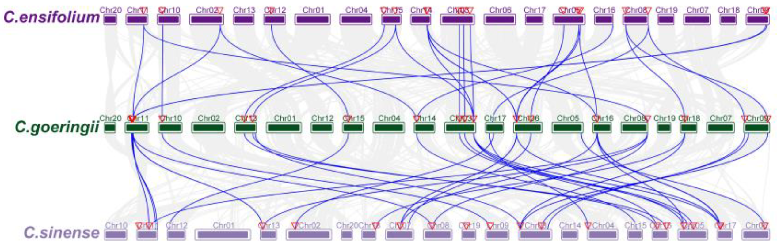 Horticulturae 10 00796 g005