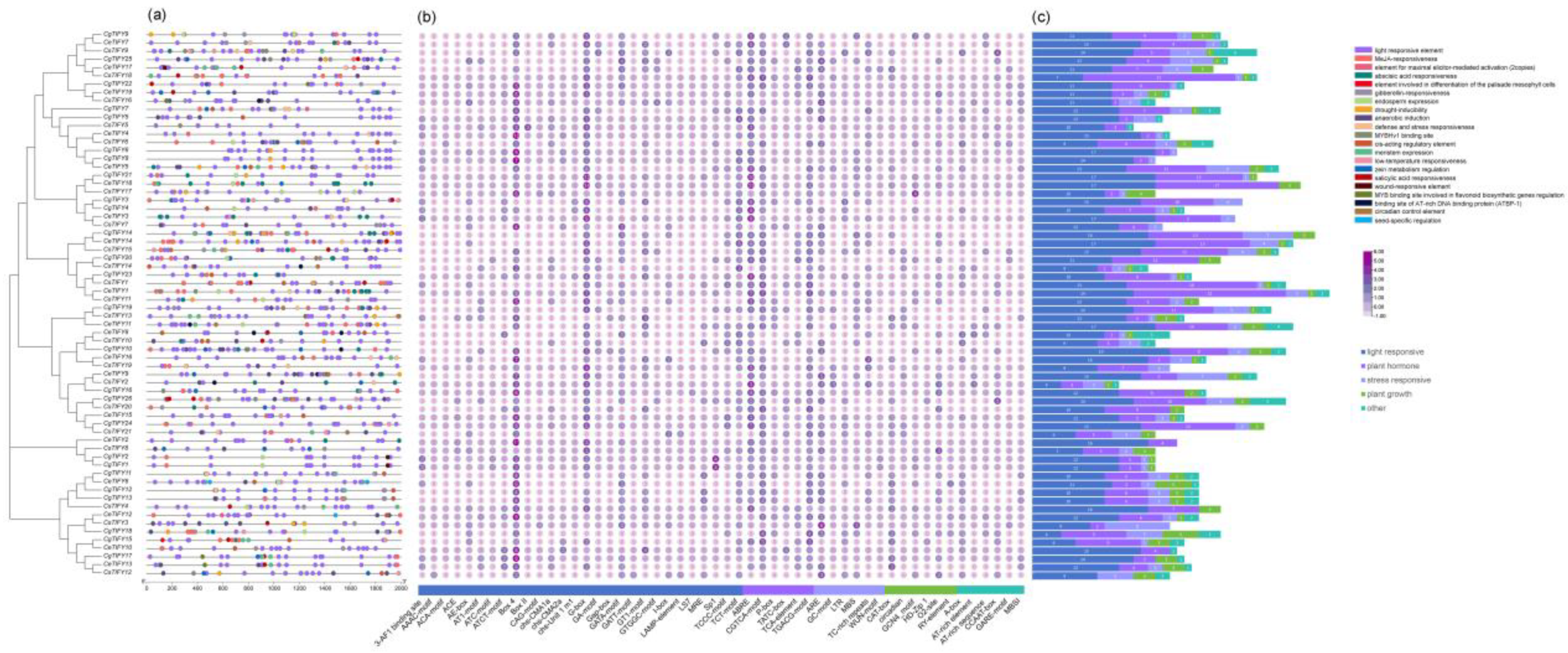 Horticulturae 10 00796 g006