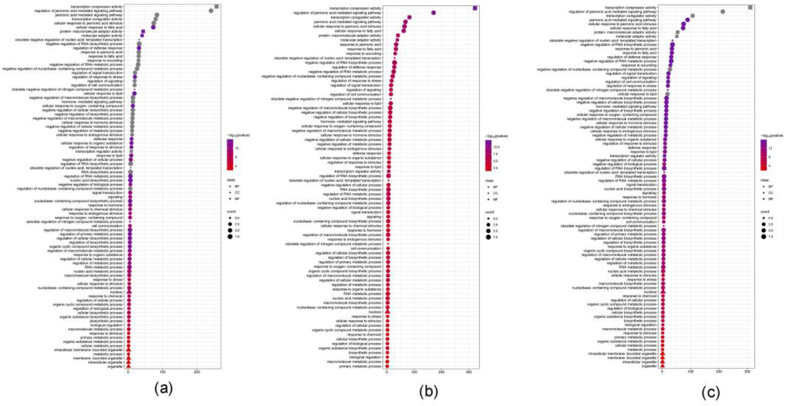 Horticulturae 10 00796 g008