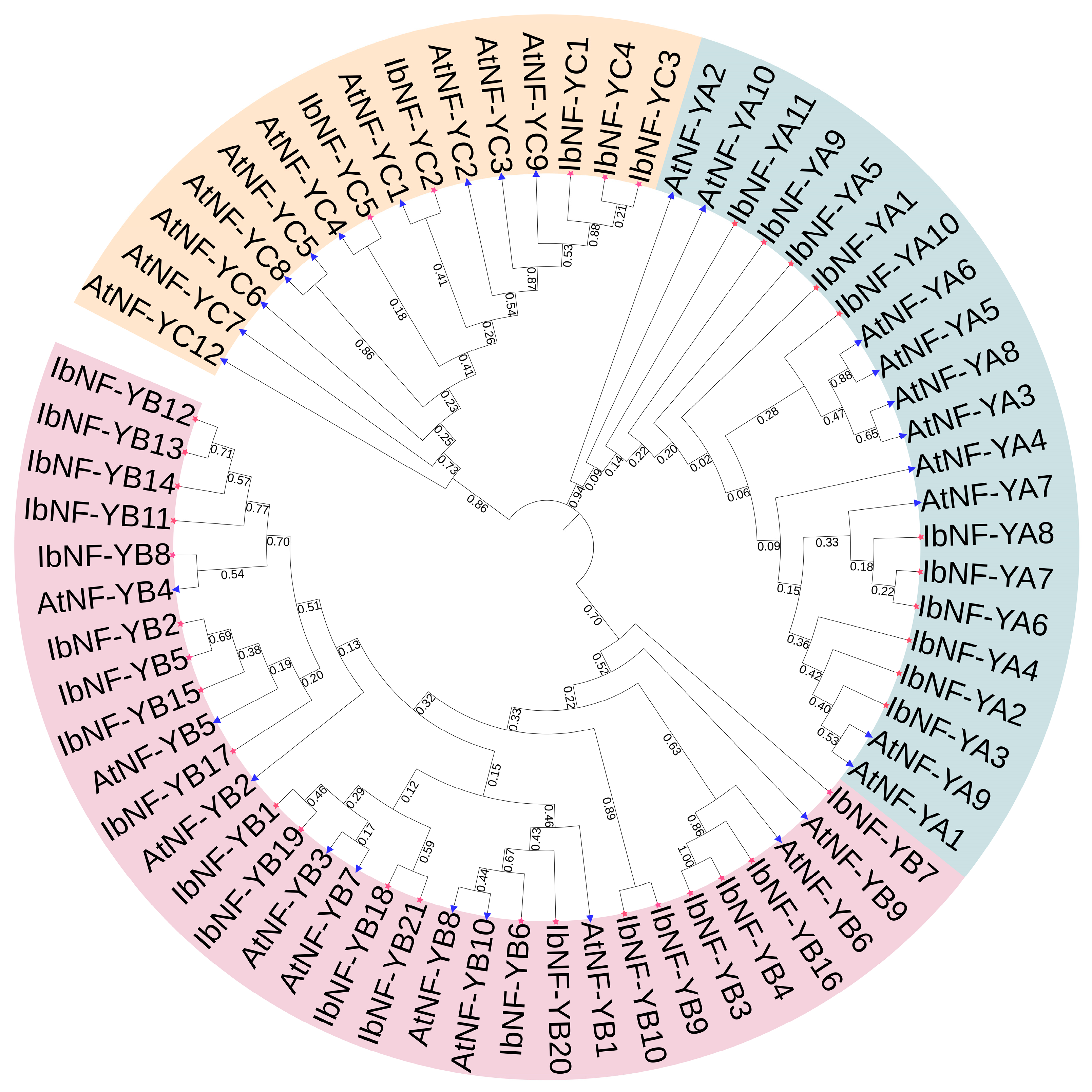 Horticulturae 10 00798 g001