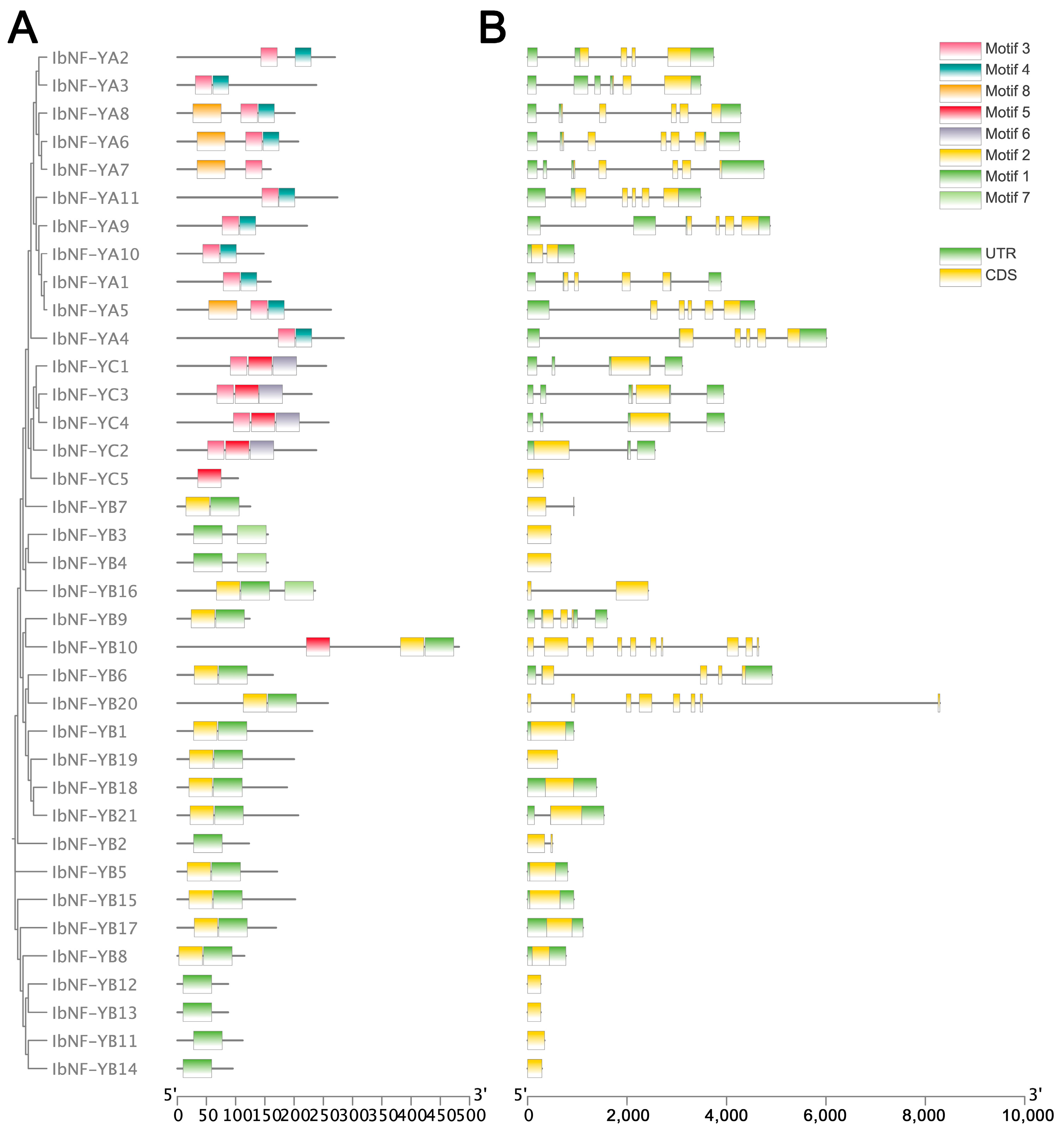 Horticulturae 10 00798 g002